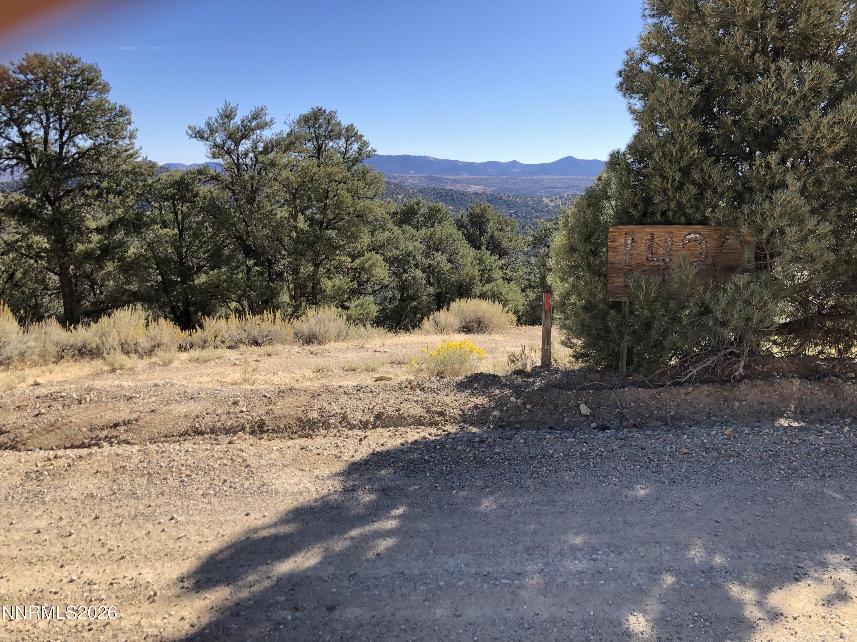 1420 Yellow Jacket Road Property Photo 3