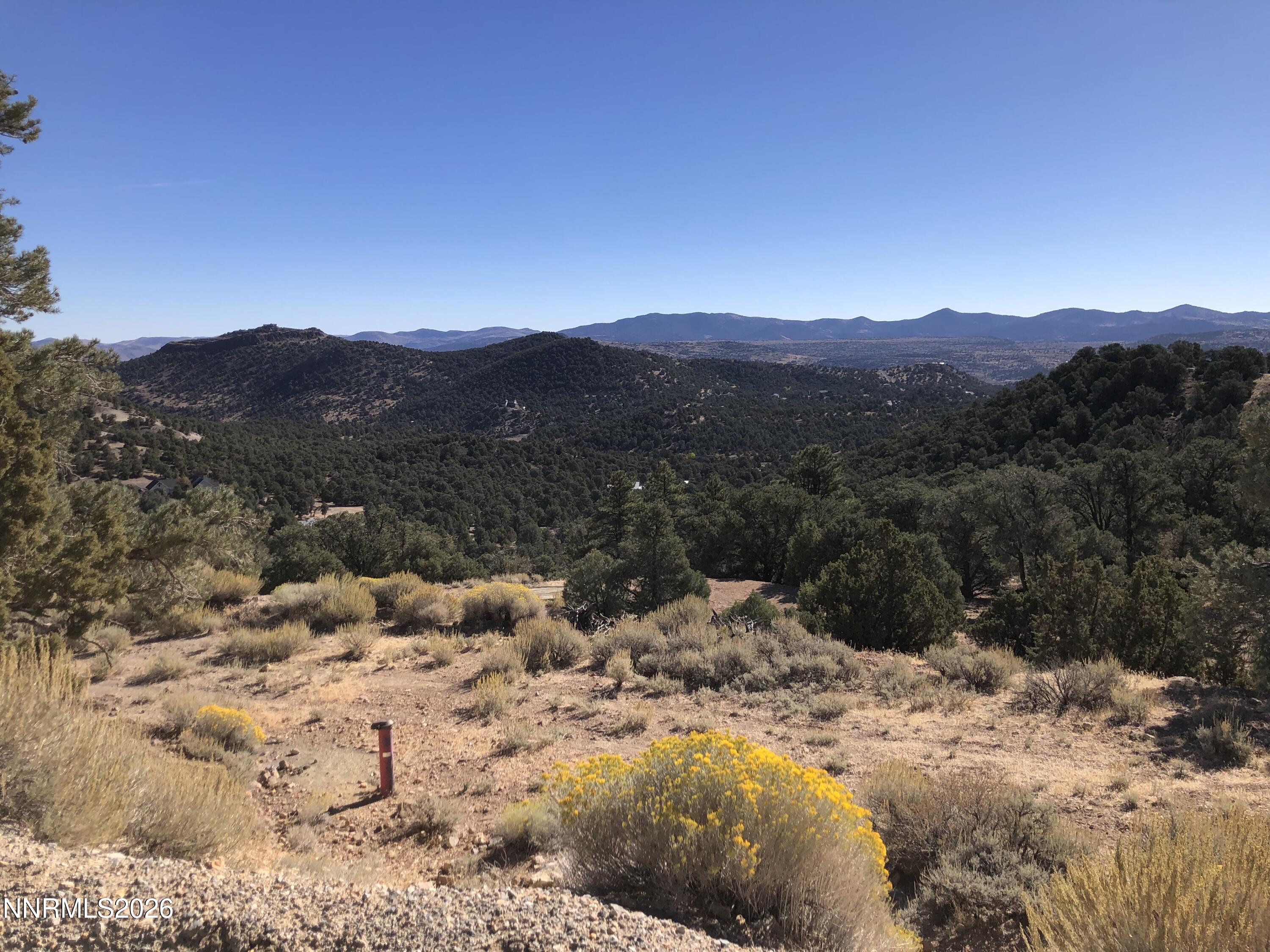 1420 Yellow Jacket Road Property Photo 4