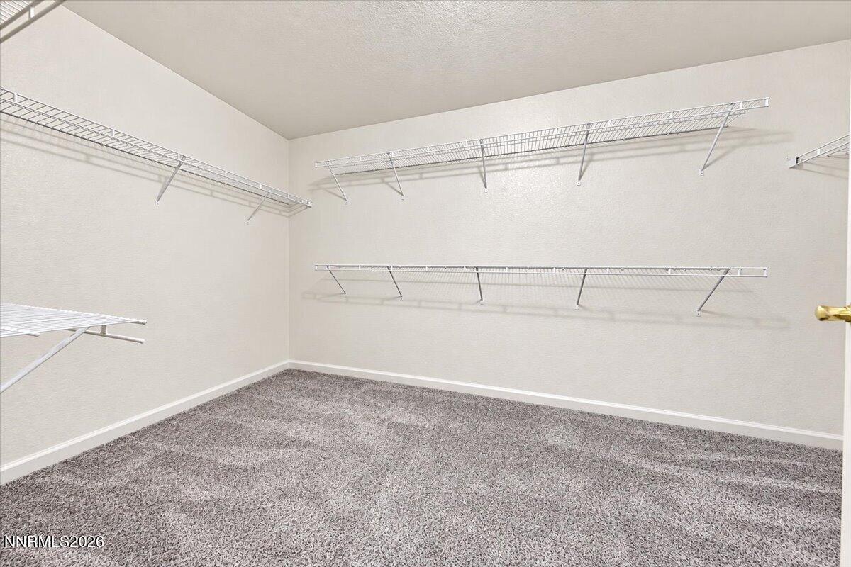 8957 Sorcha Street Property Photo 31