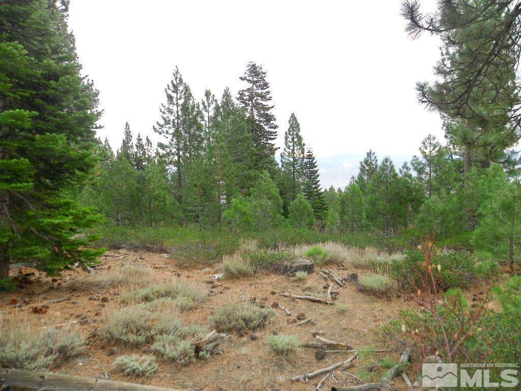 0 Kings Canyon Road Property Photo 2