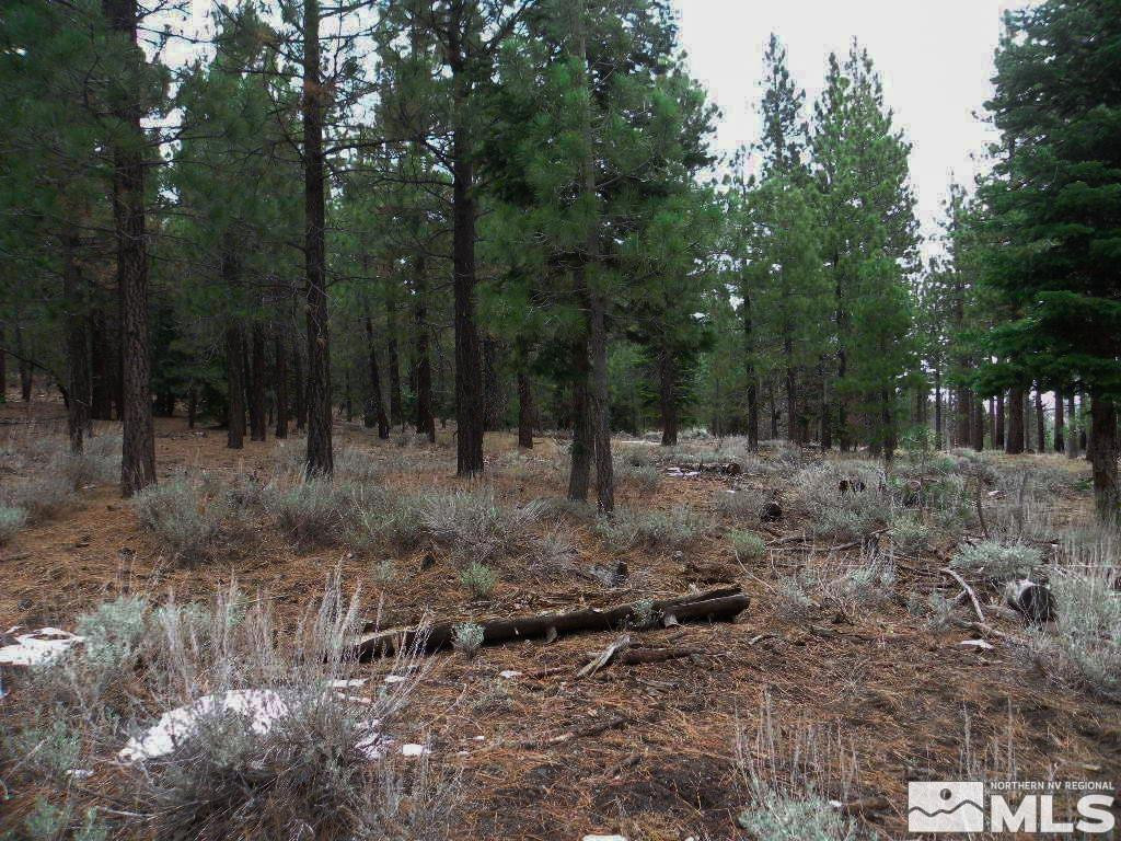 0 Kings Canyon Road Property Photo 3