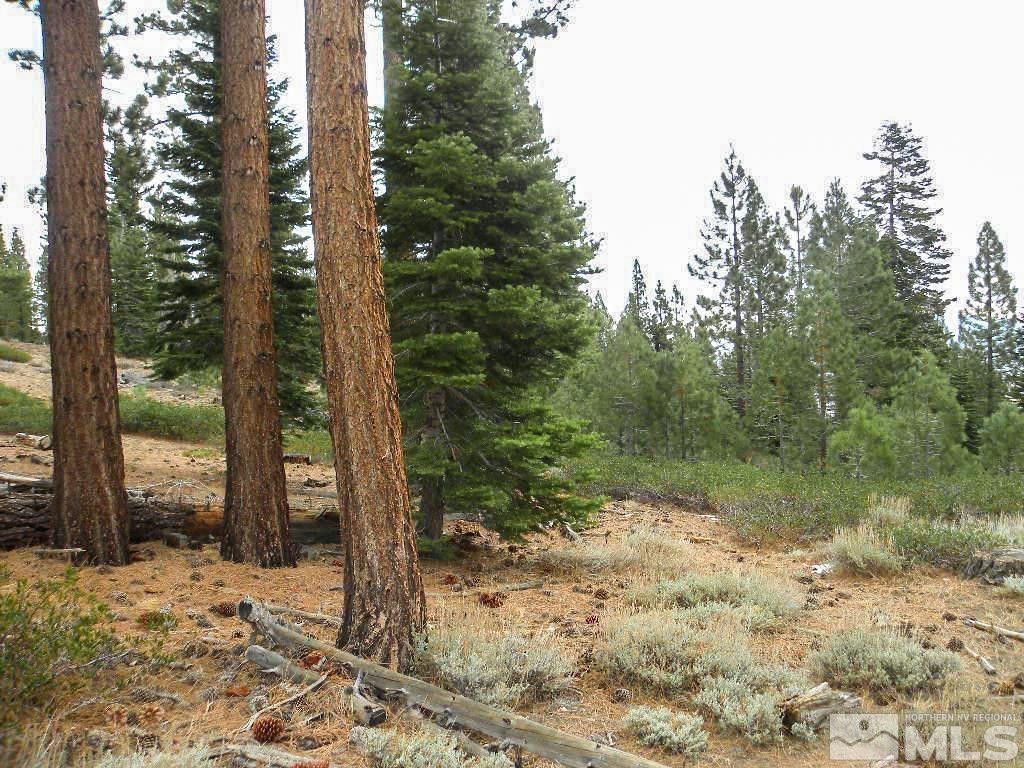 0 Kings Canyon Road Property Photo 4