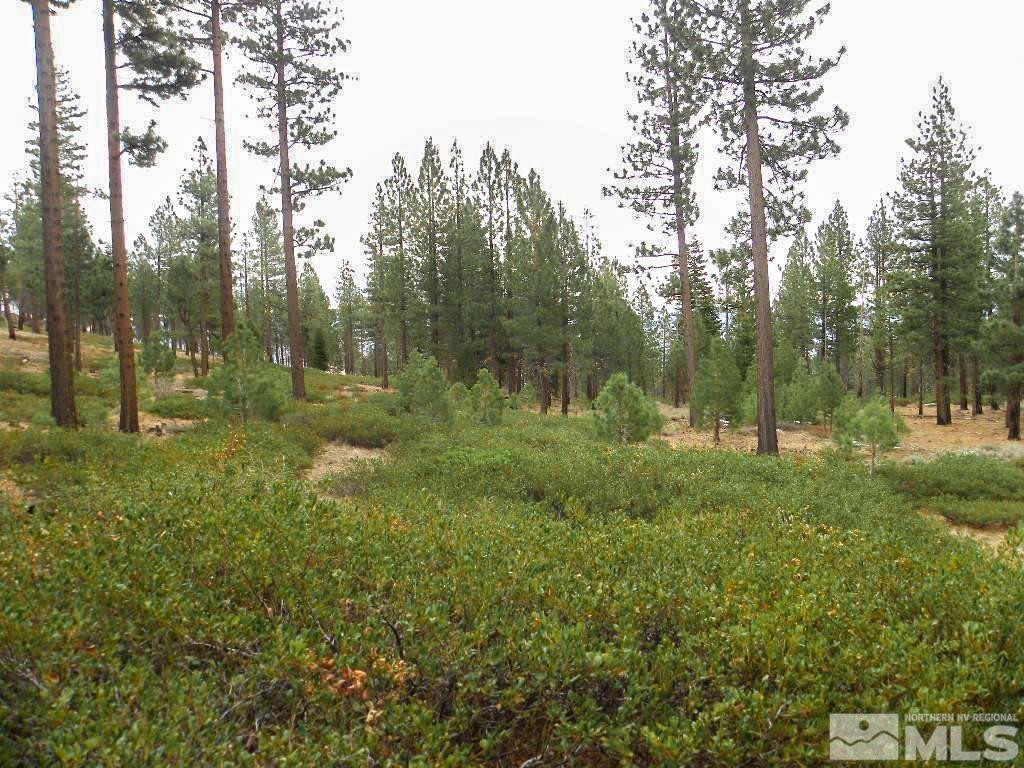 0 Kings Canyon Road Property Photo 6