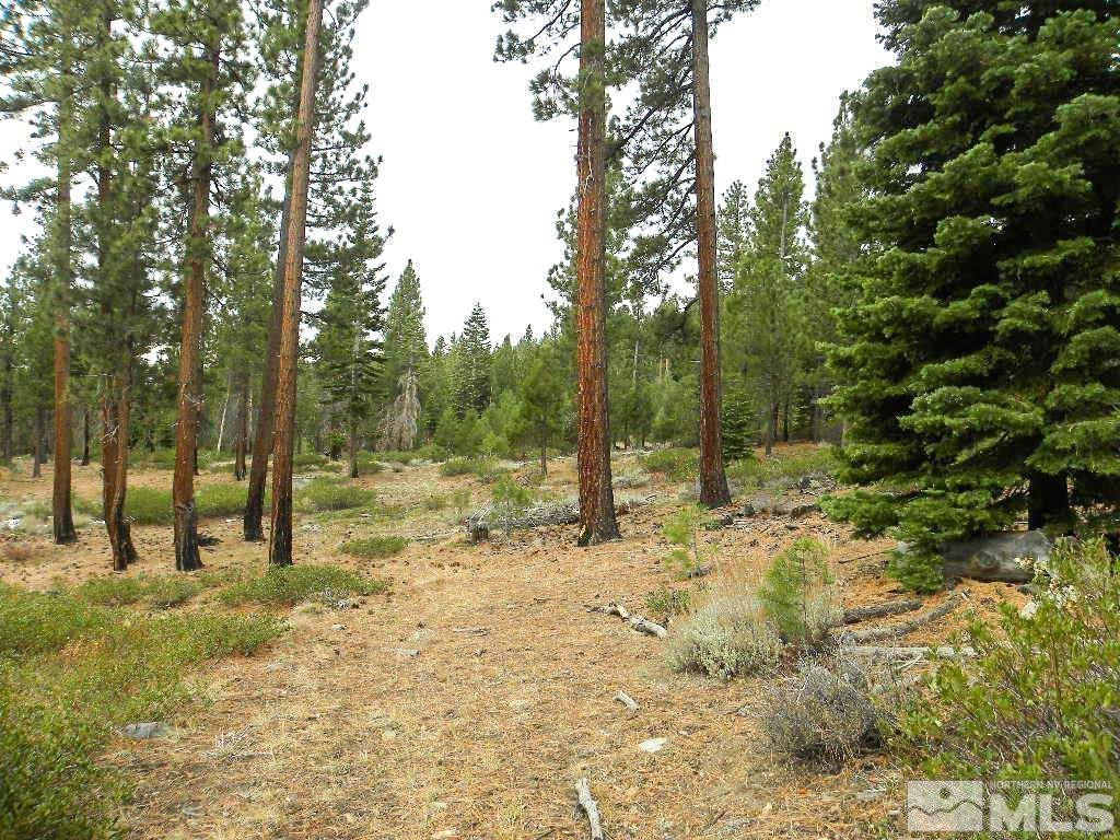 0 Kings Canyon Road Property Photo 7