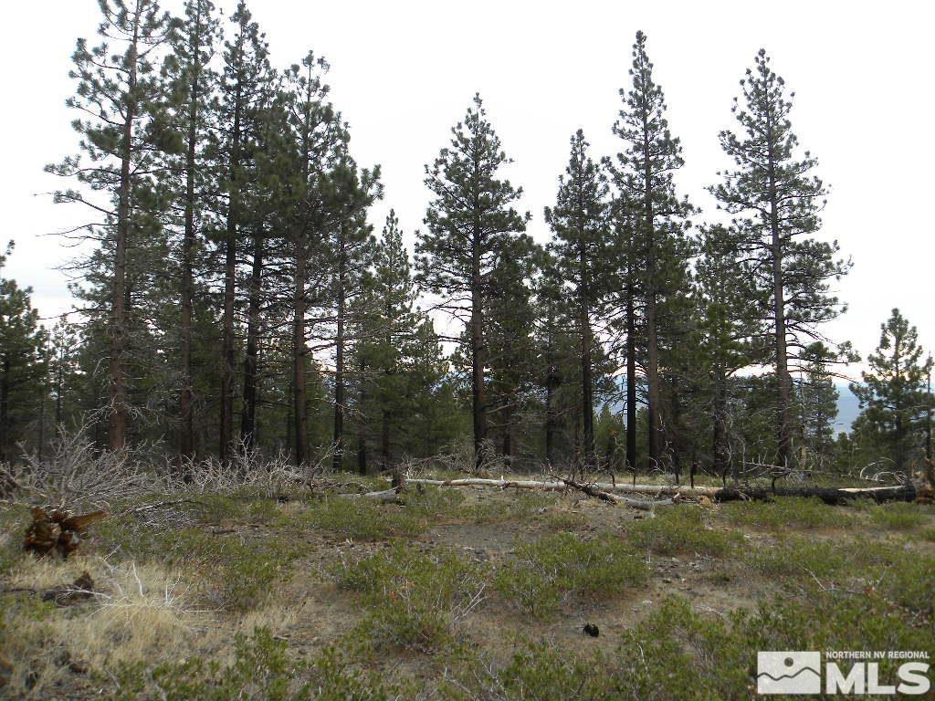 0 Kings Canyon Road Property Photo 8