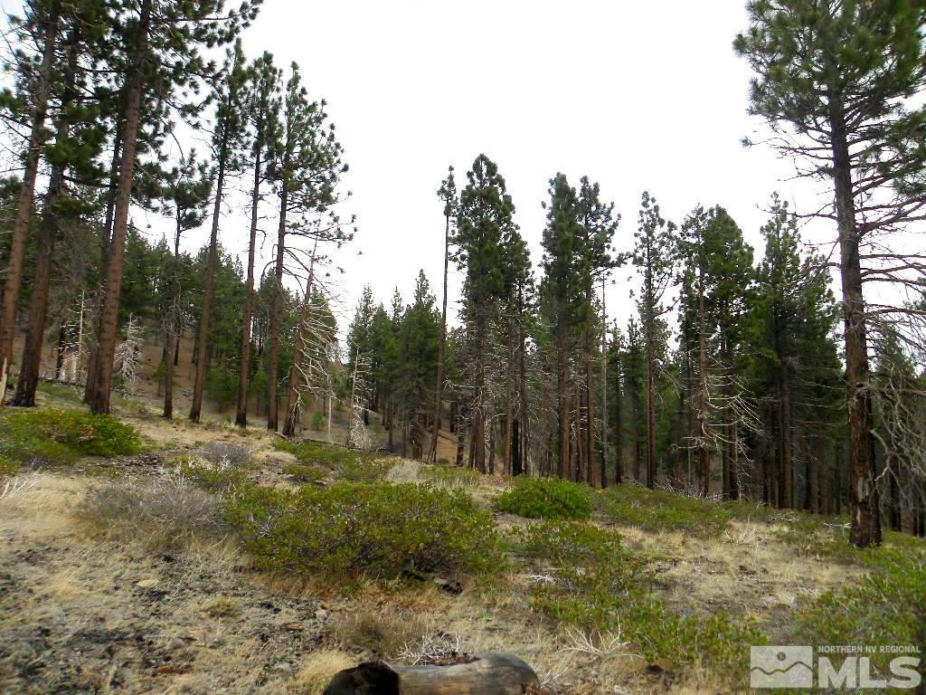 0 Kings Canyon Road Property Photo 9