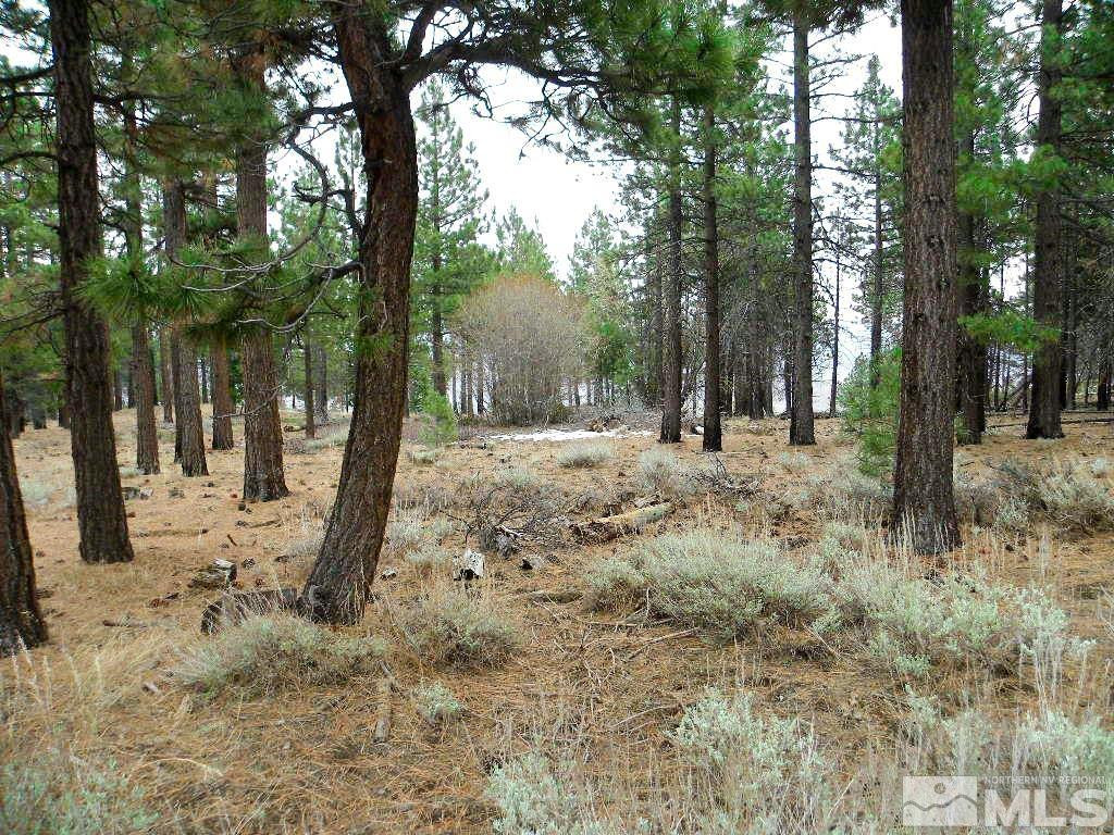 0 Kings Canyon Road Property Photo 10