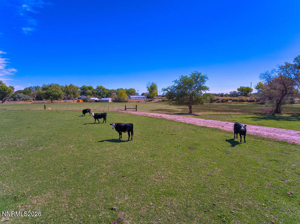 1145 Mclean Road Property Photo 42