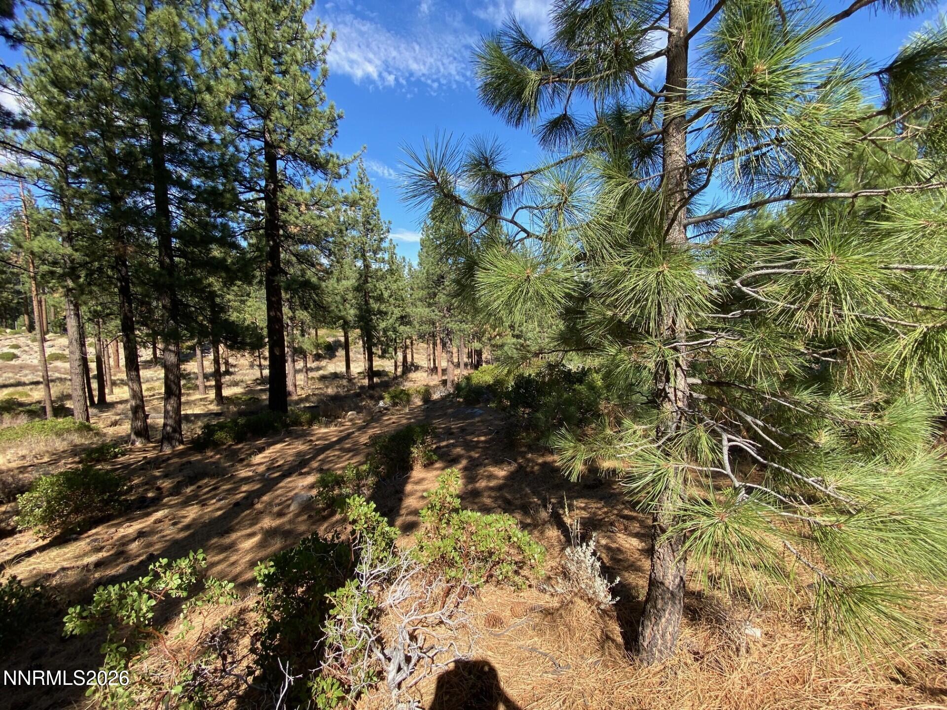 955 Blue Spruce Road Property Photo 11