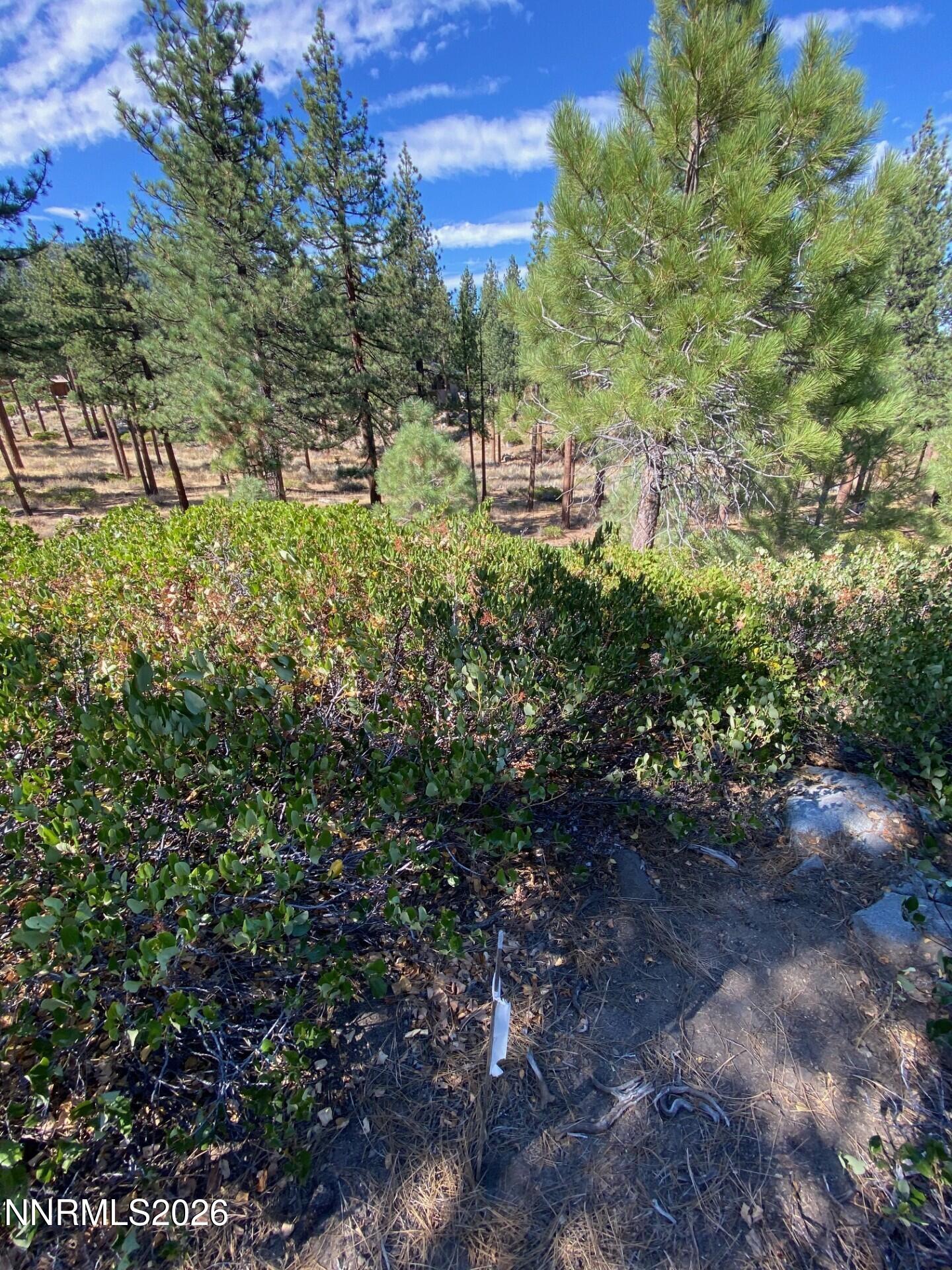 955 Blue Spruce Road Property Photo 12