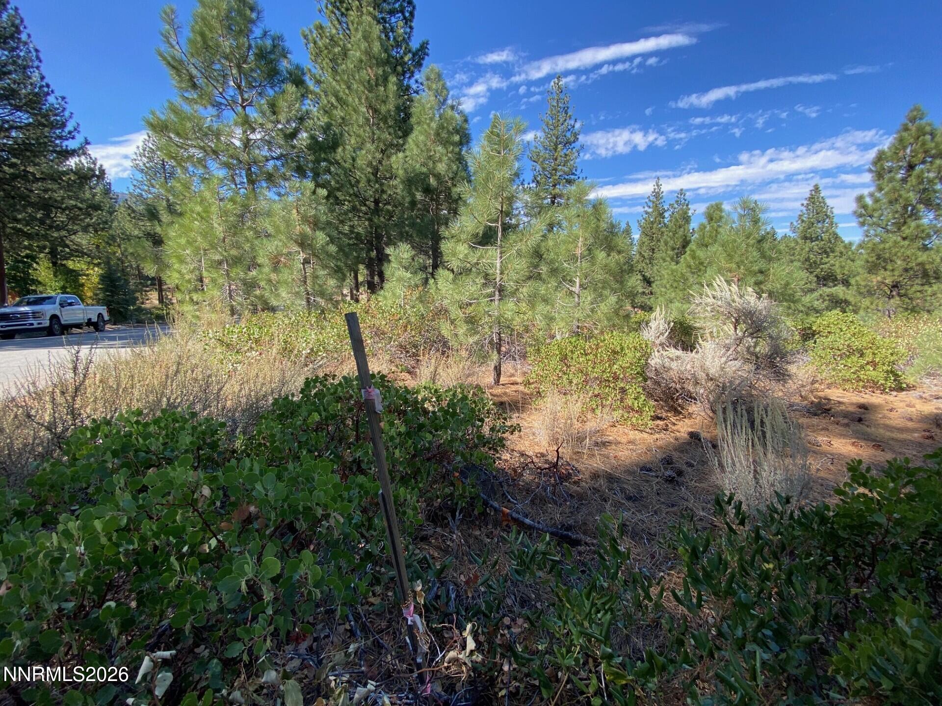955 Blue Spruce Road Property Photo 15