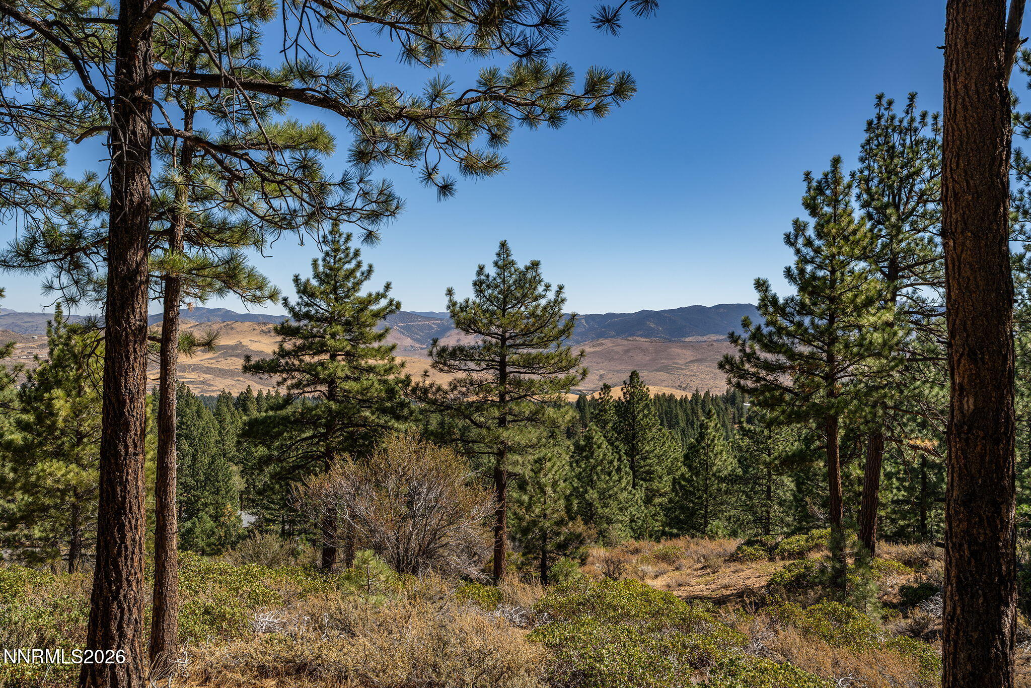 237 E Jeffrey Pine Road Property Photo 2