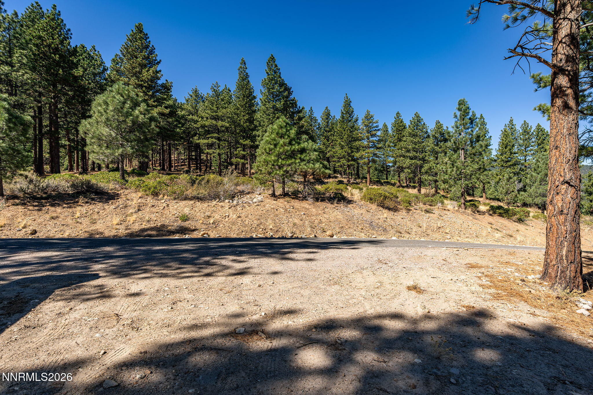 237 E Jeffrey Pine Road Property Photo 6