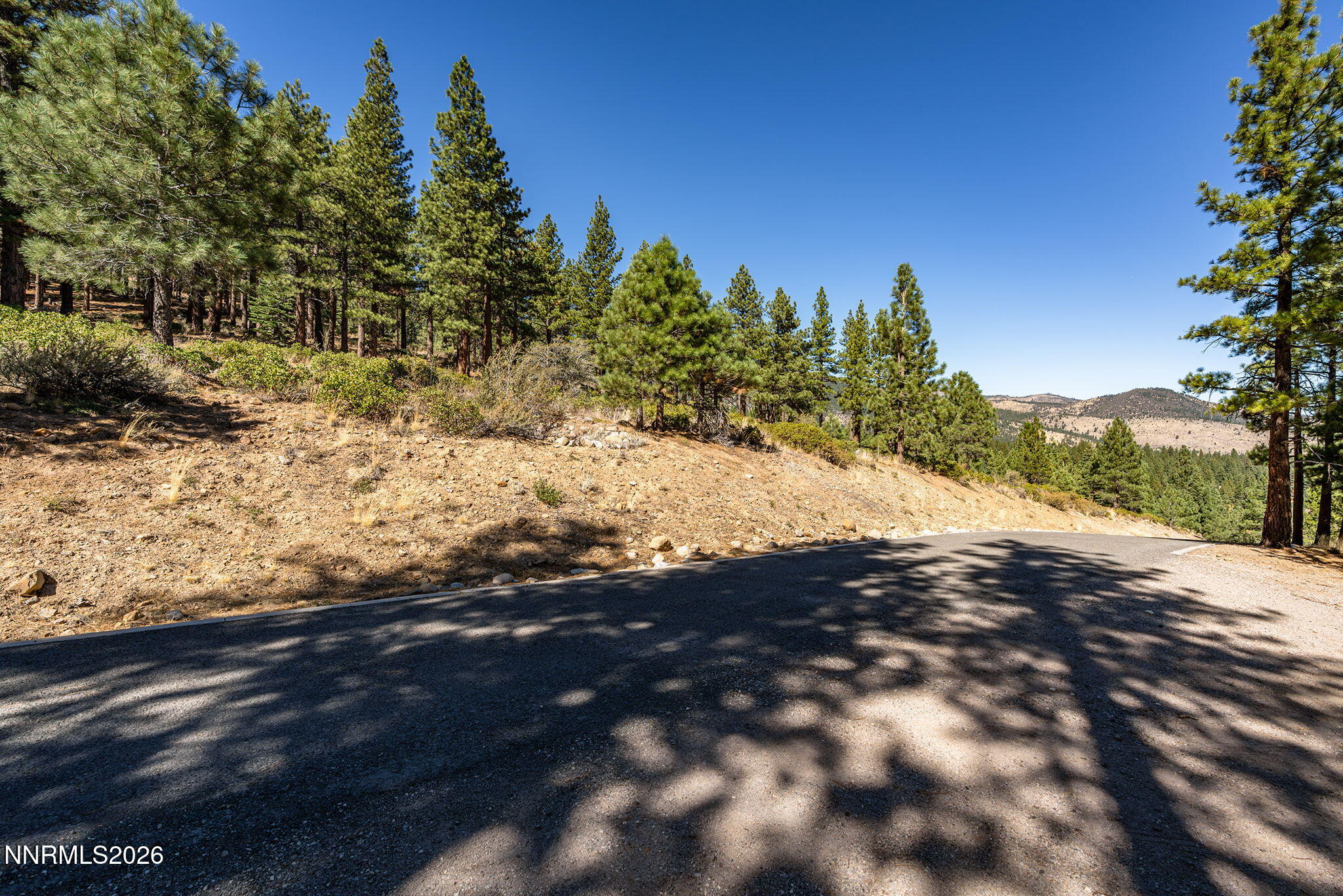 237 E Jeffrey Pine Road Property Photo 7