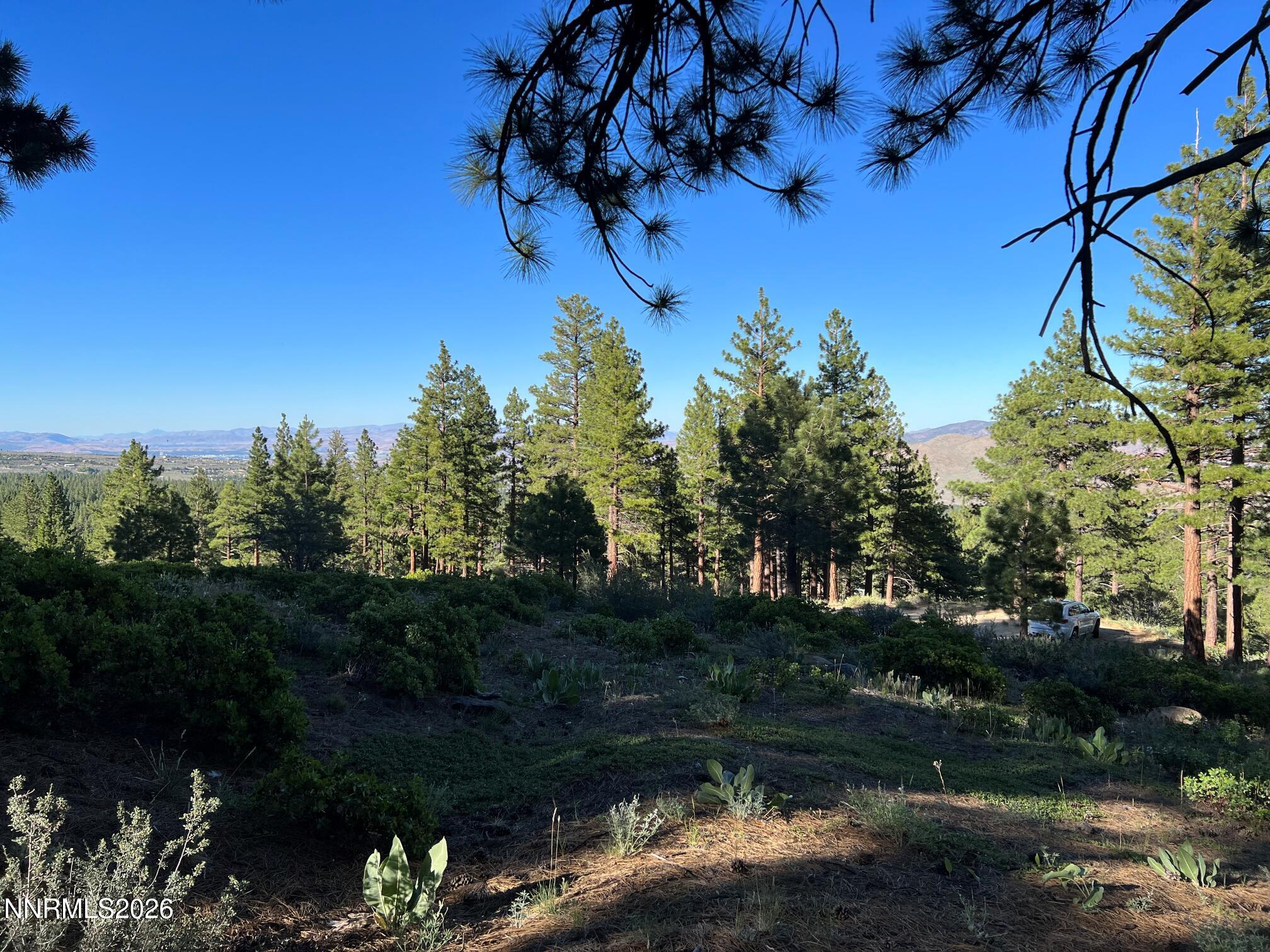 237 E Jeffrey Pine Road Property Photo 8