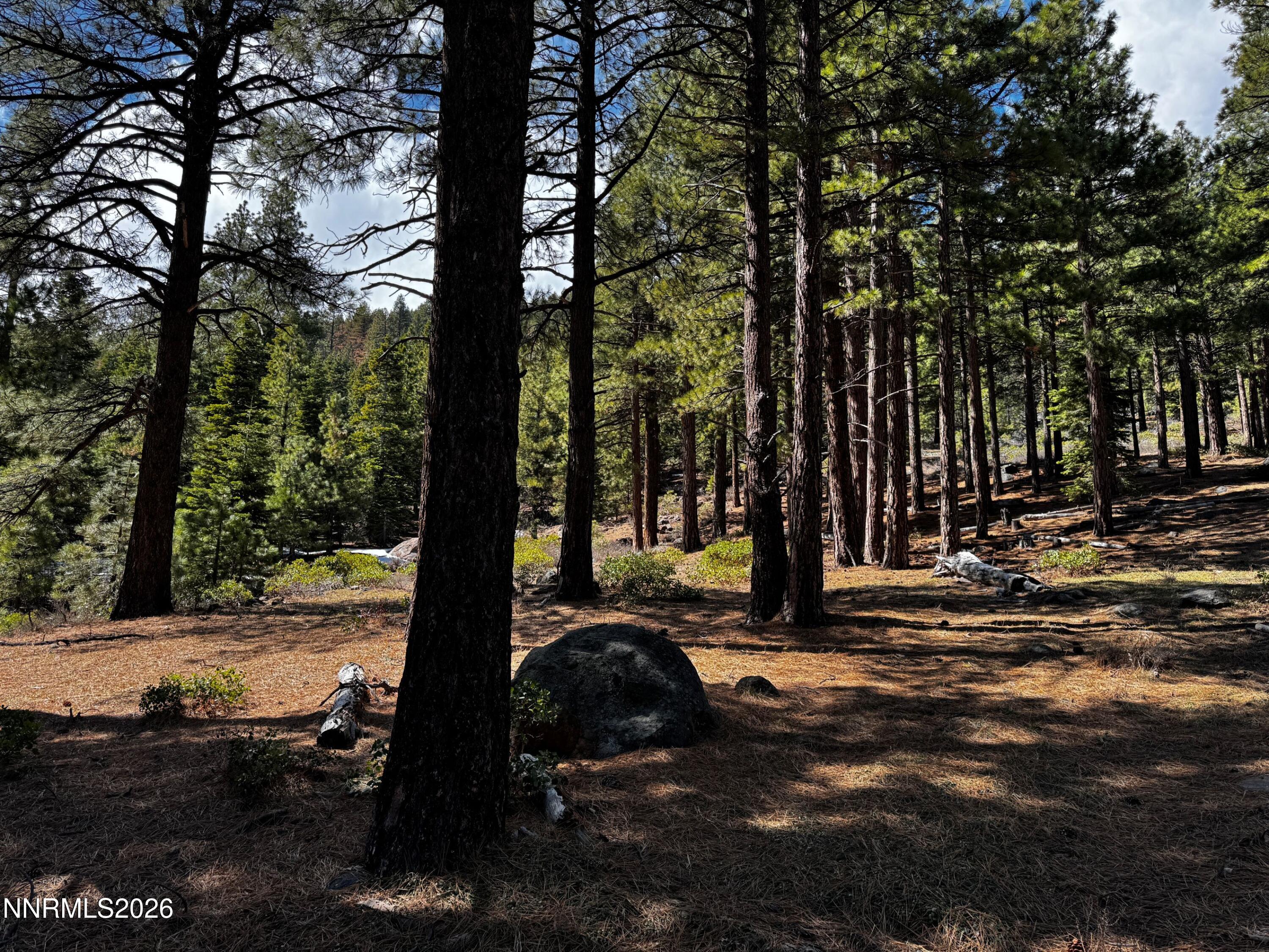 237 E Jeffrey Pine Road Property Photo 9