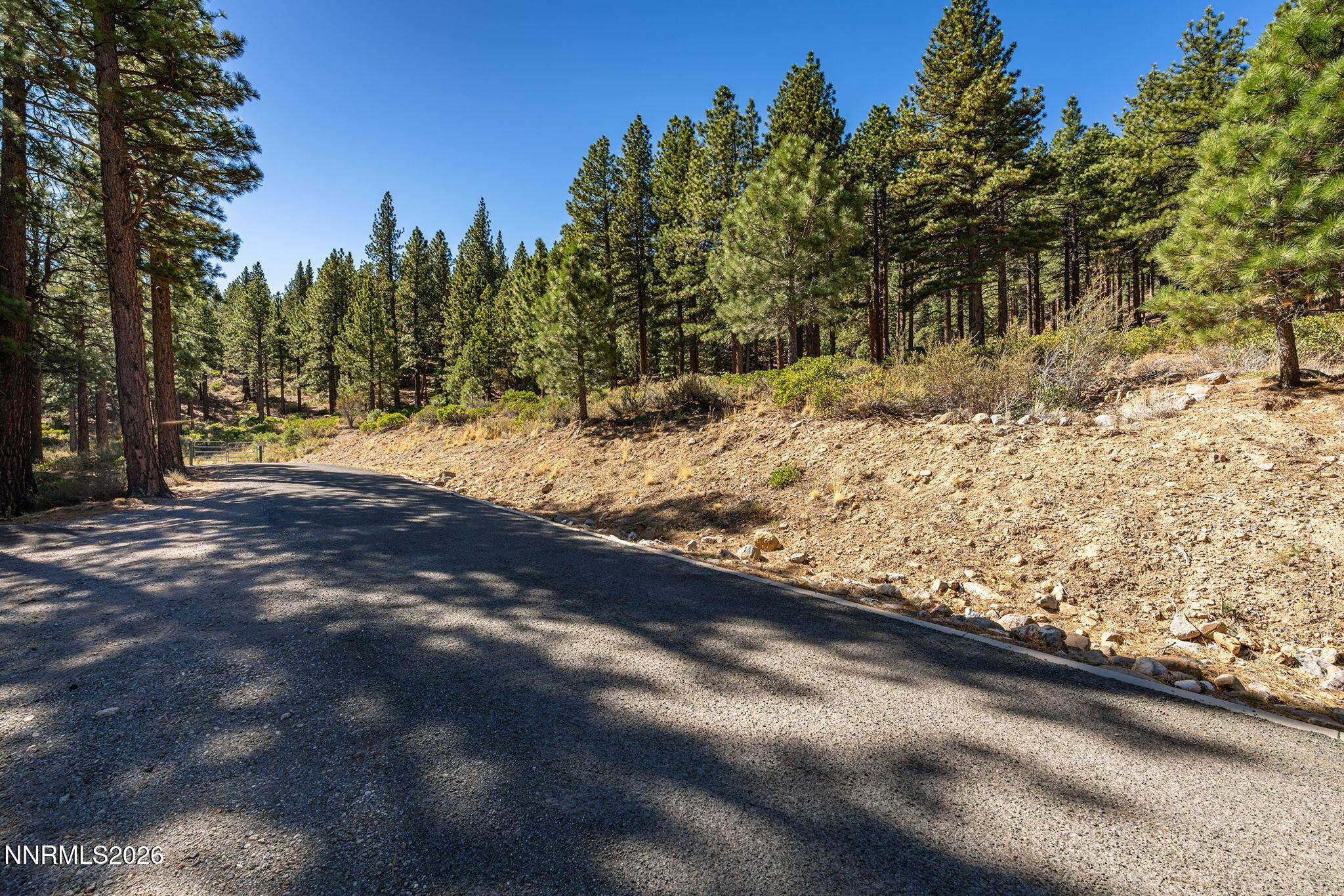 237 E Jeffrey Pine Road Property Photo 10