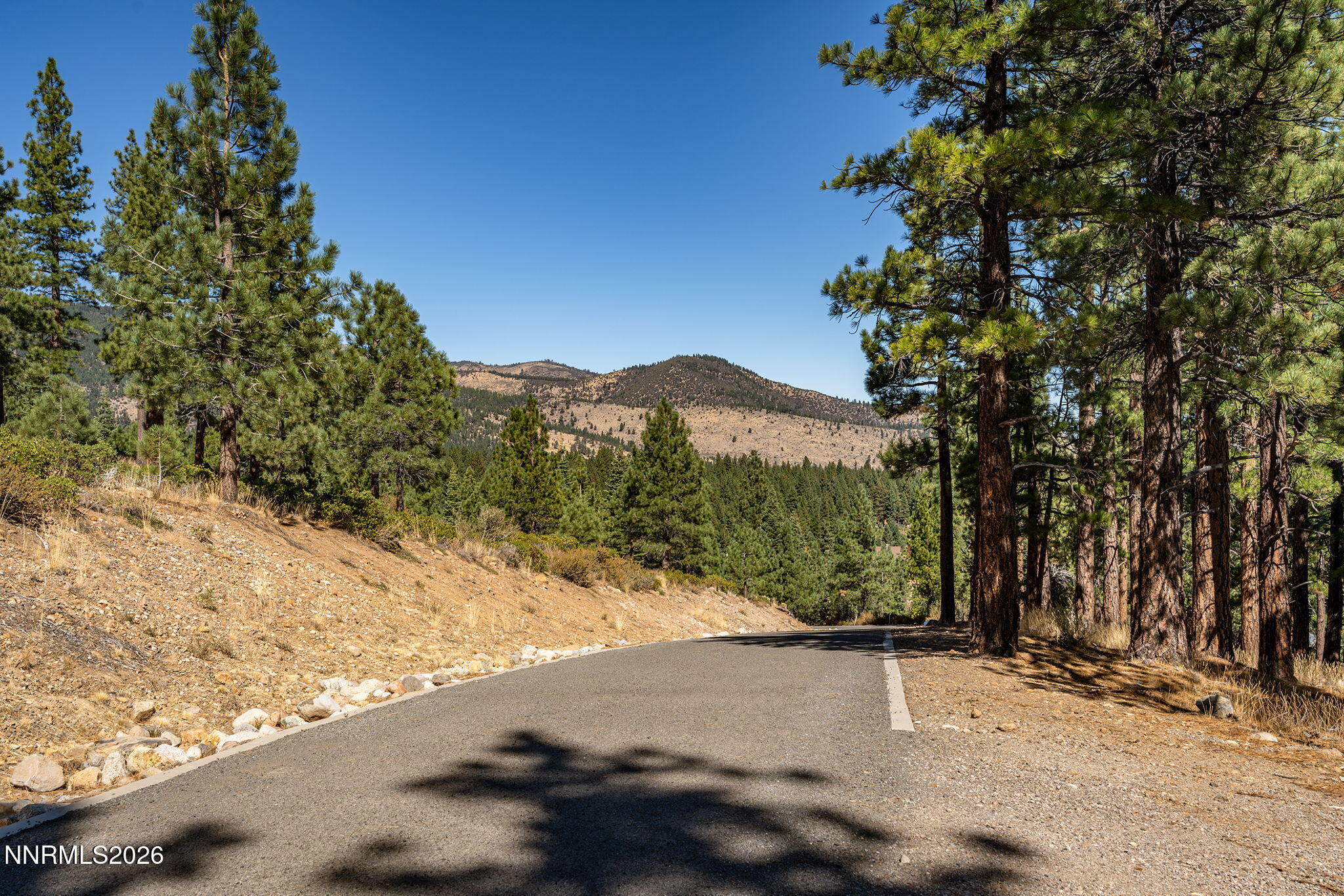 237 E Jeffrey Pine Road Property Photo 11