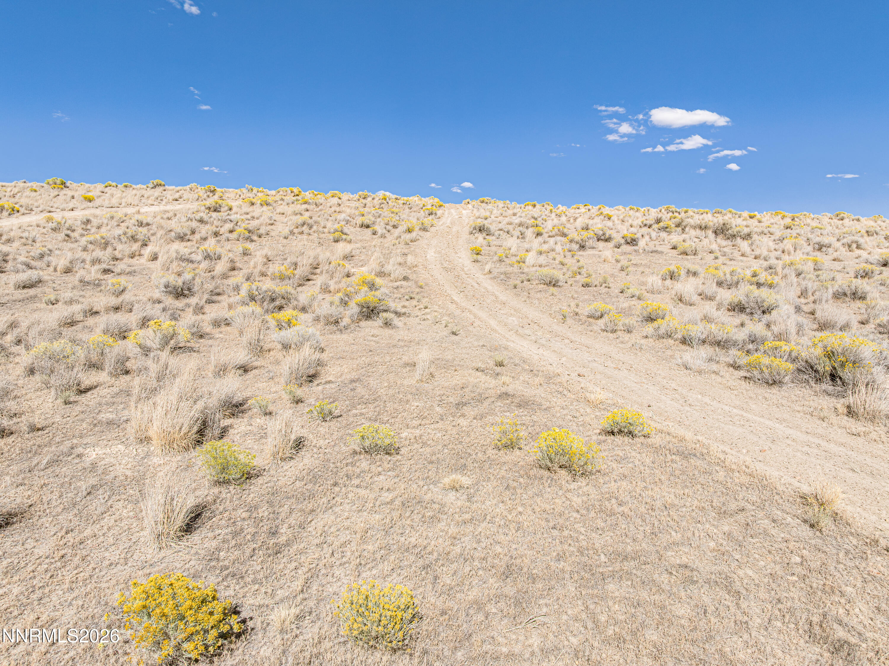 Tbd El Armuth Drive Property Photo 25