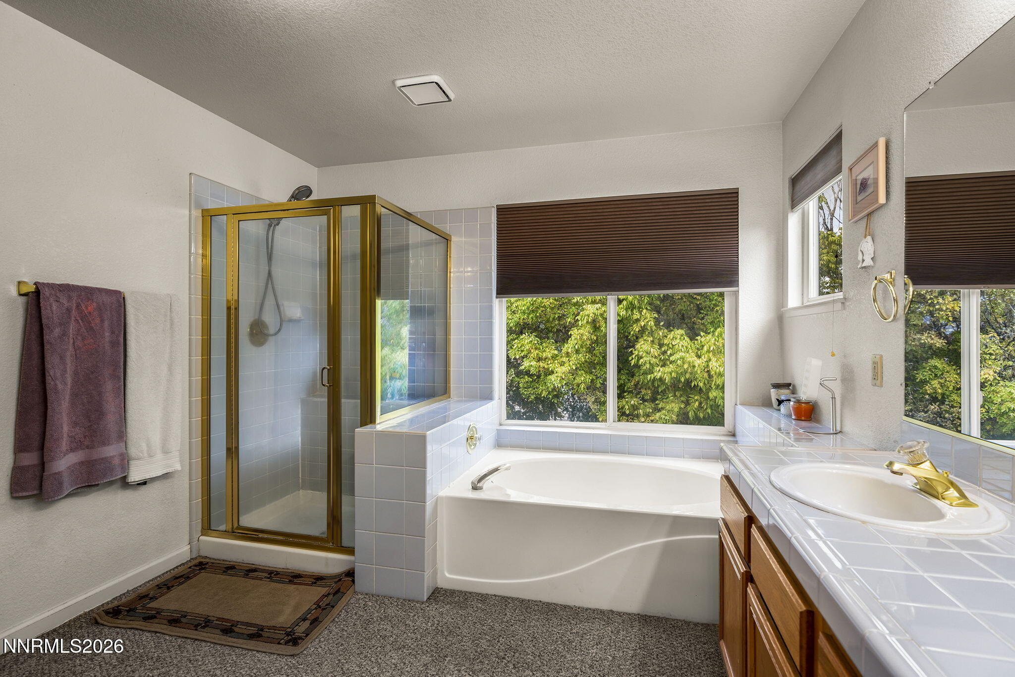 1550 Disc Drive Property Photo 18