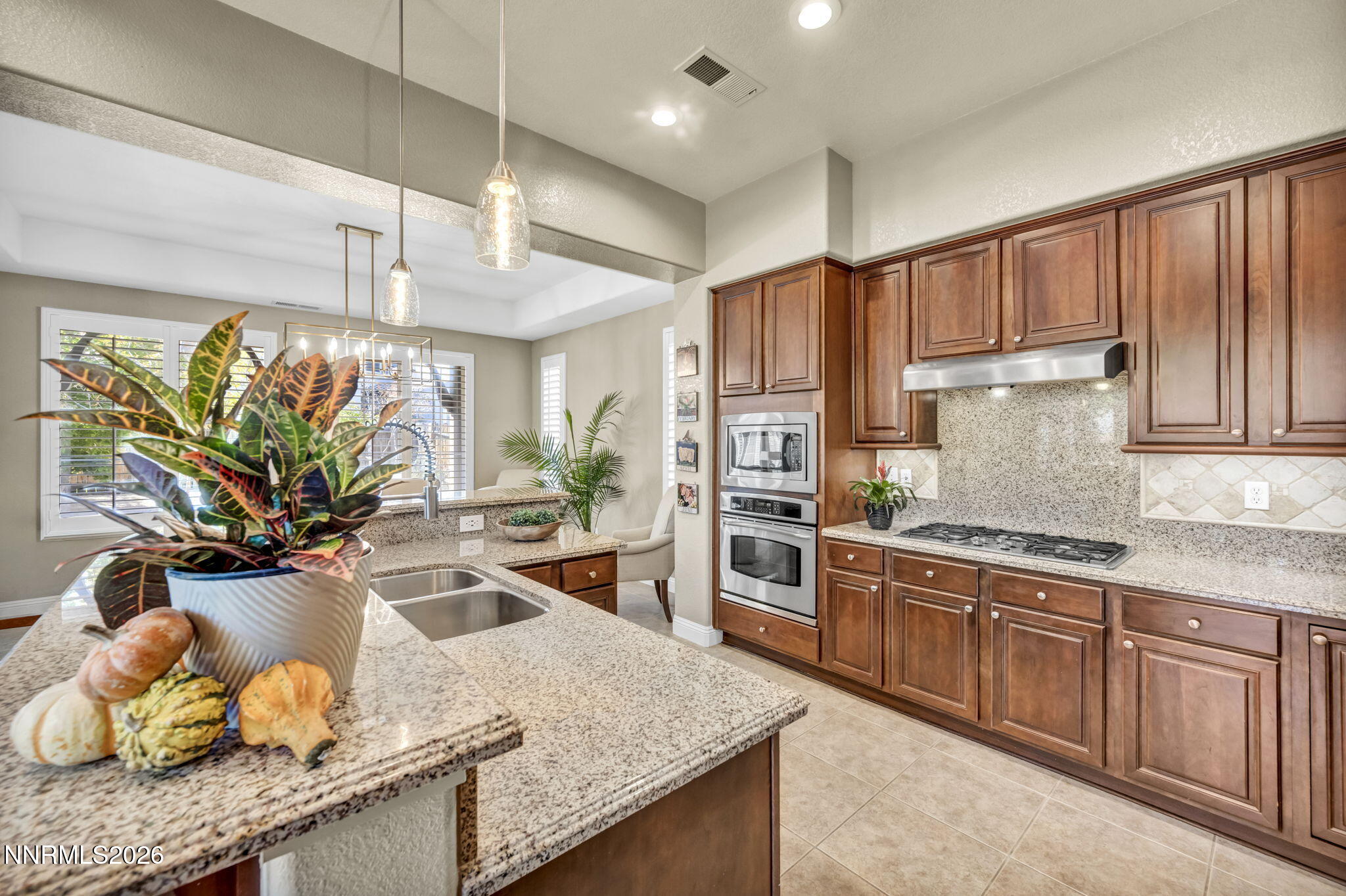10795 Serratina Drive Property Photo 14