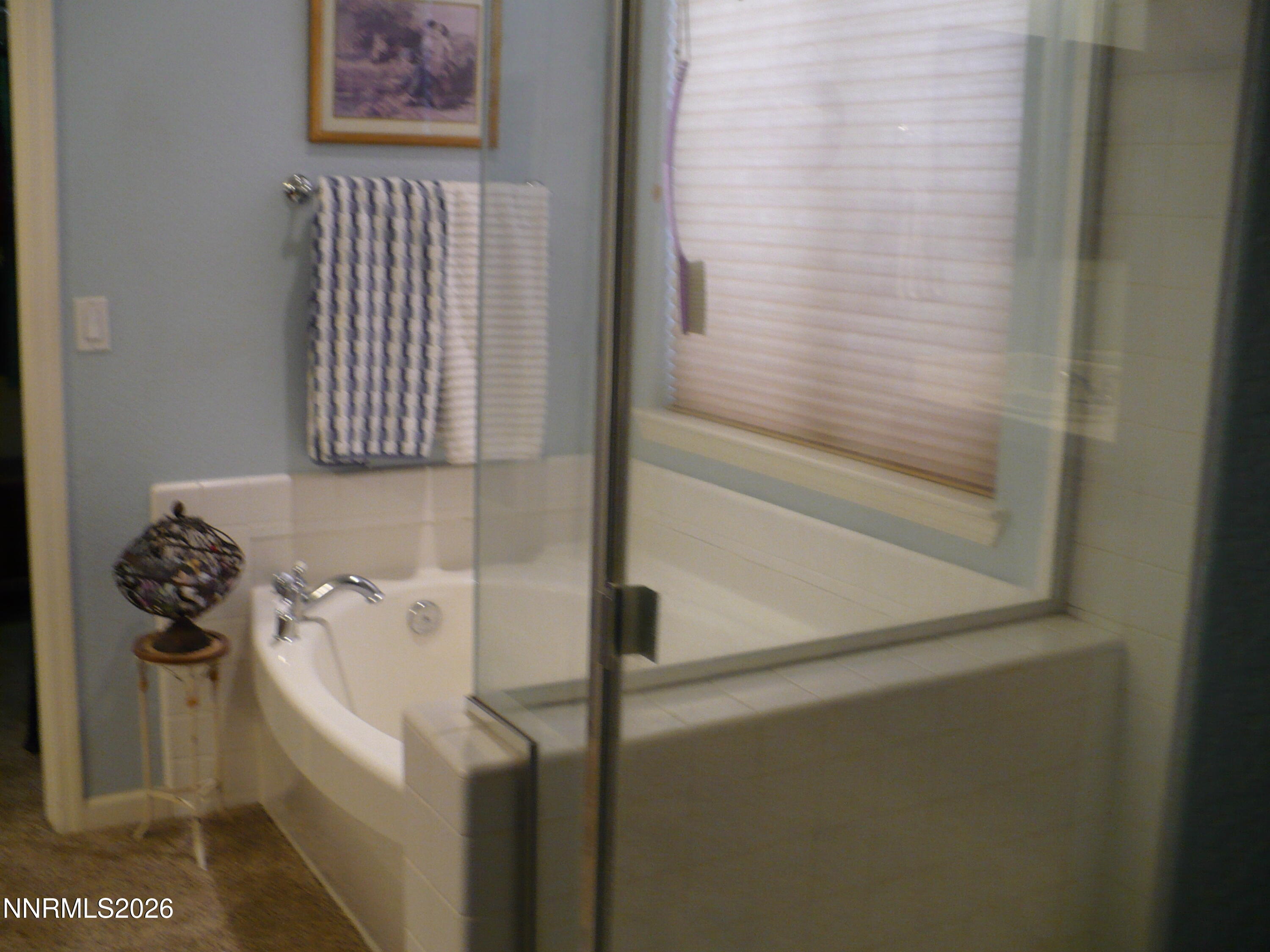 10572 Fort Morgan Way Property Photo 7