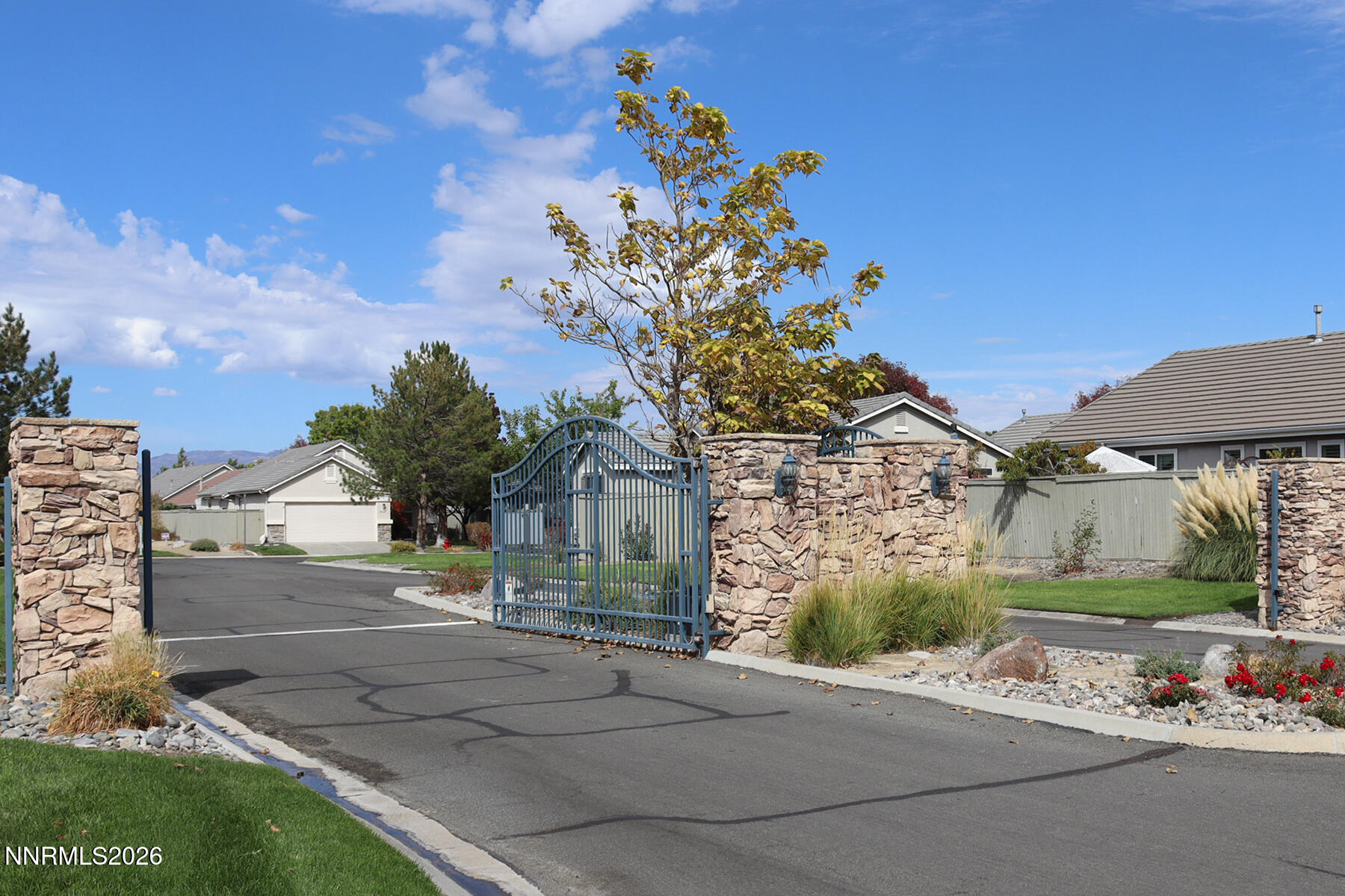 1441 Wild Wolf Way Property Photo 4