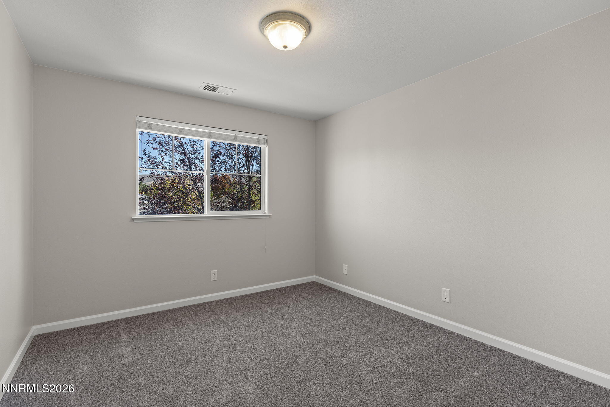 10041 Silver Star Drive Property Photo 19
