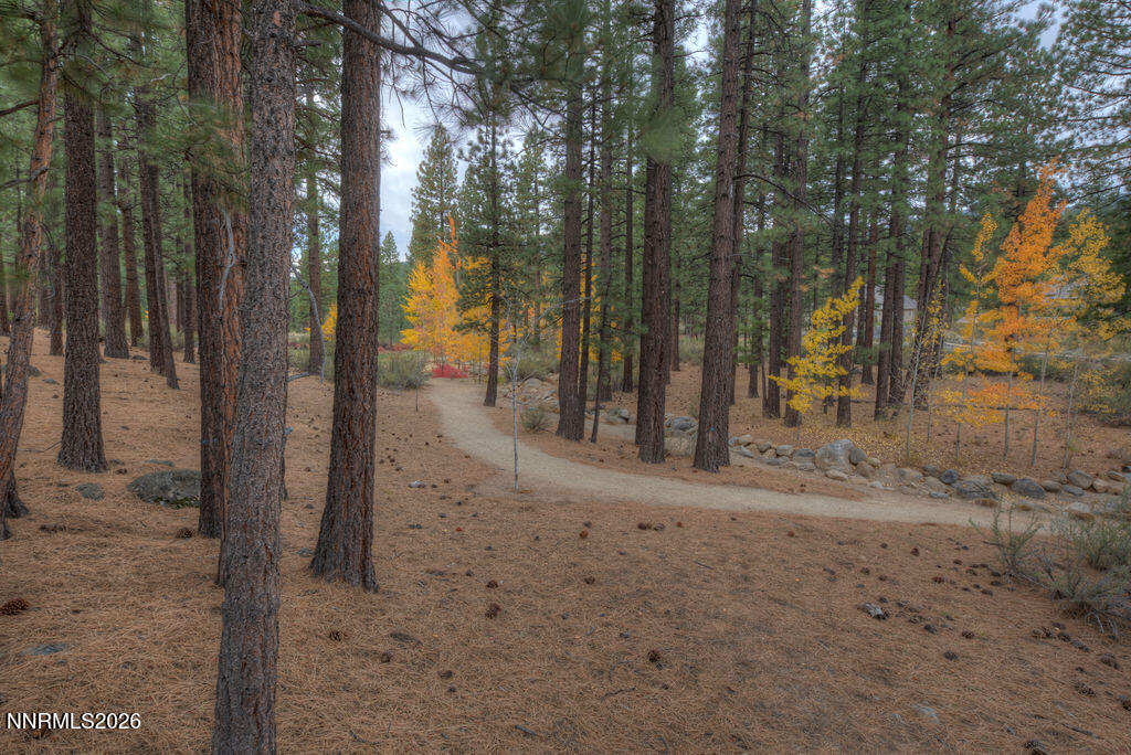 20647 Chanson Way Property Photo 6