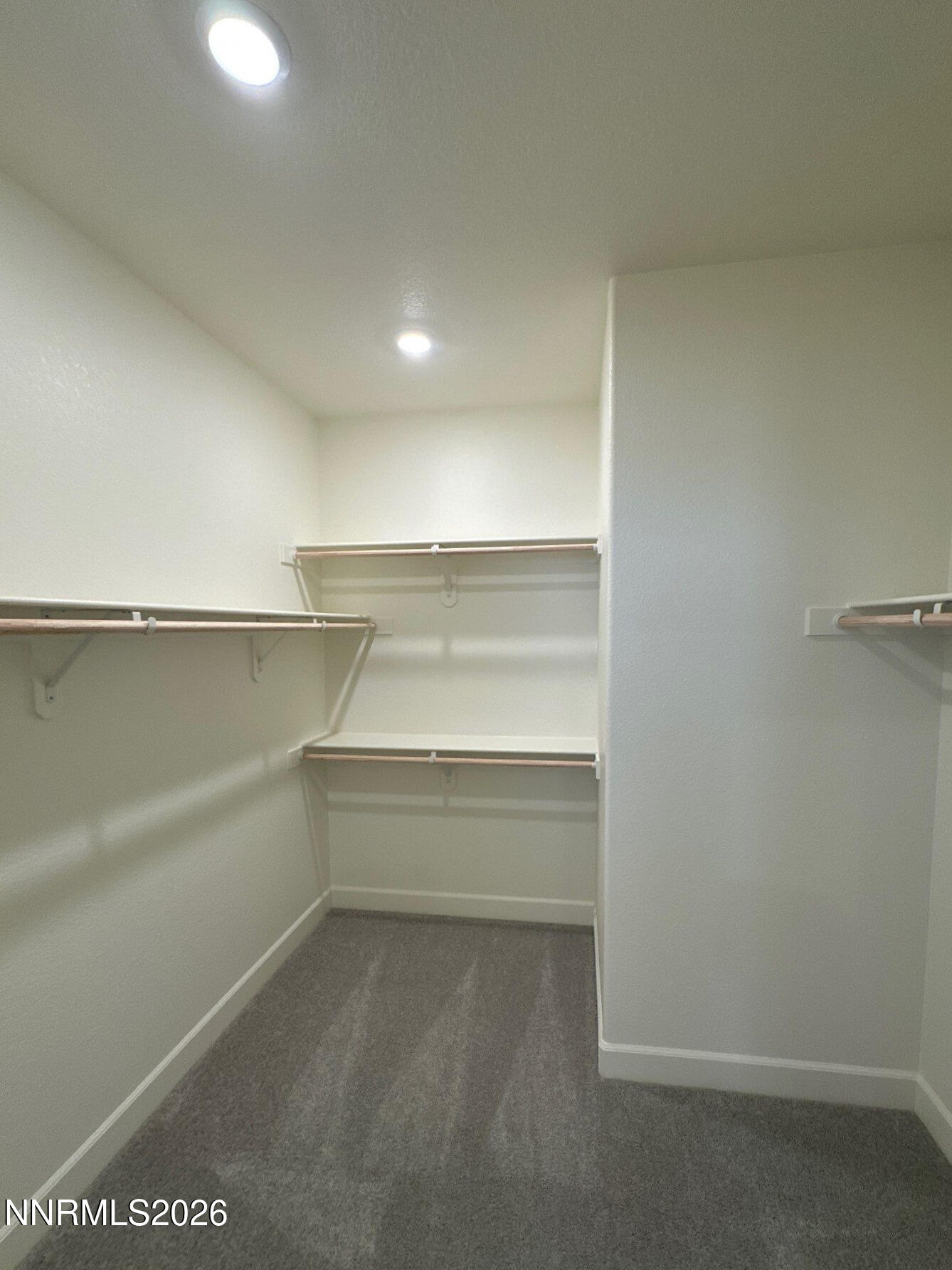 7897 Willow Thicket Drive Property Photo 10