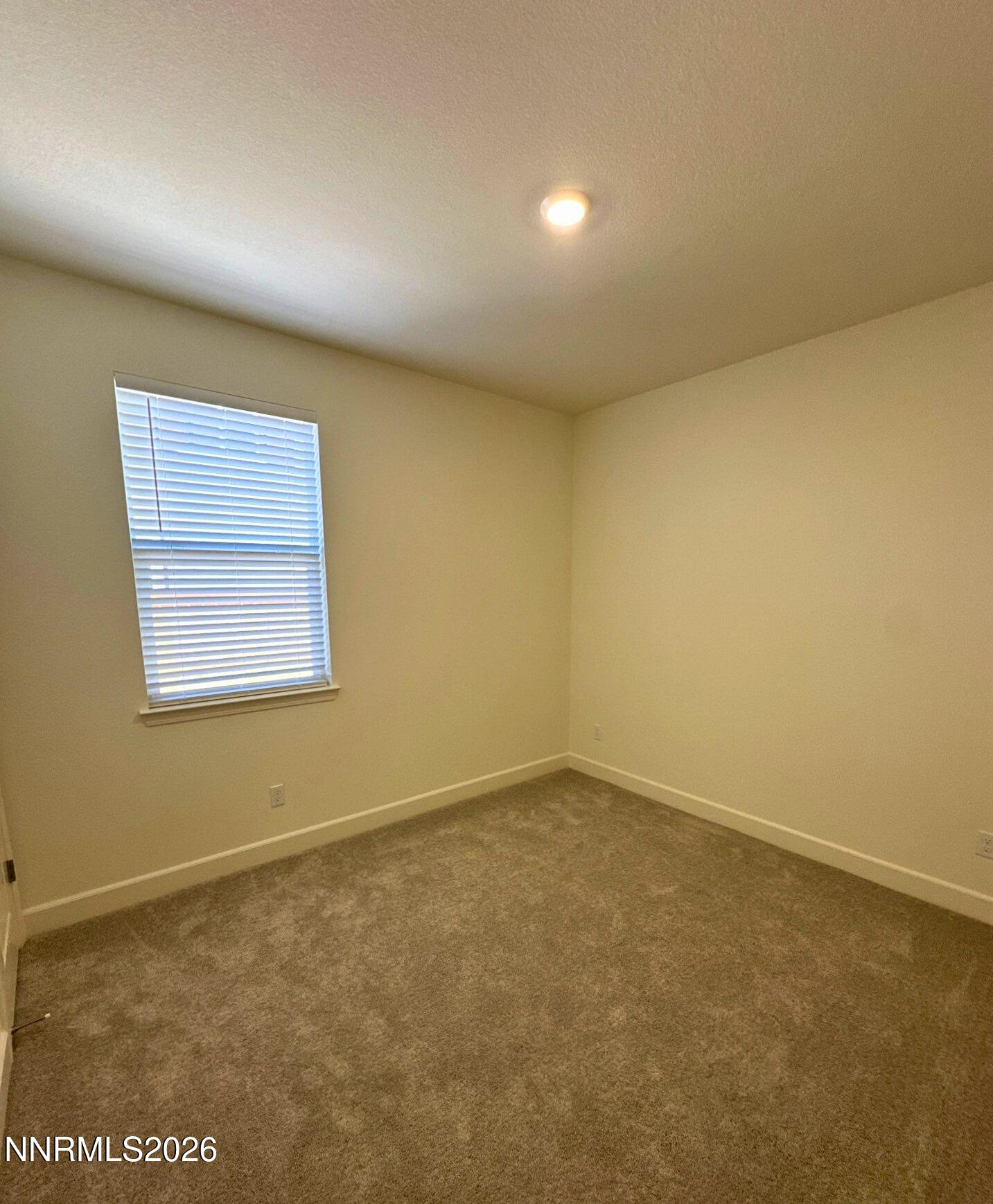 7897 Willow Thicket Drive Property Photo 14