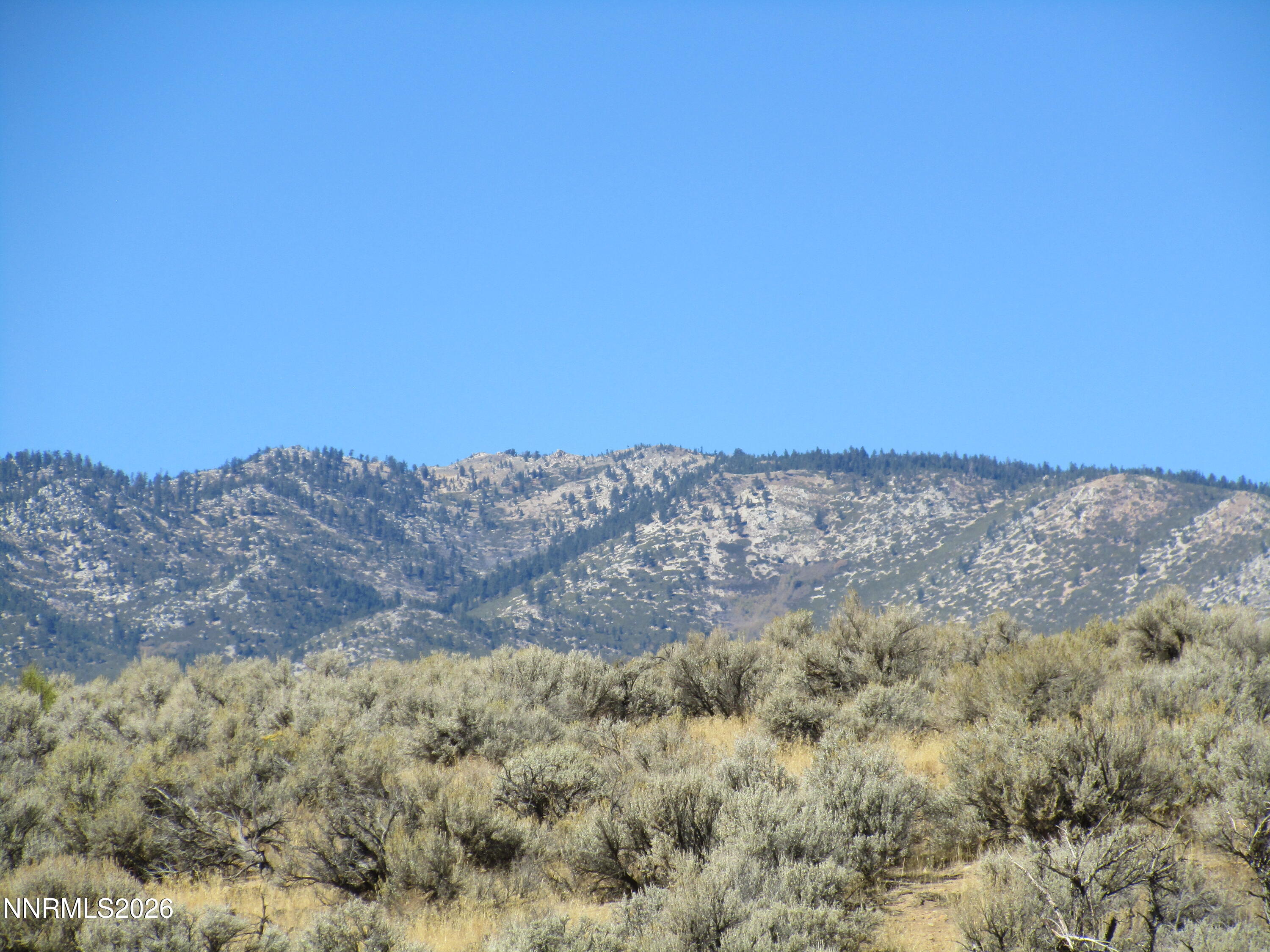 3604 Haystack Drive Property Photo 66