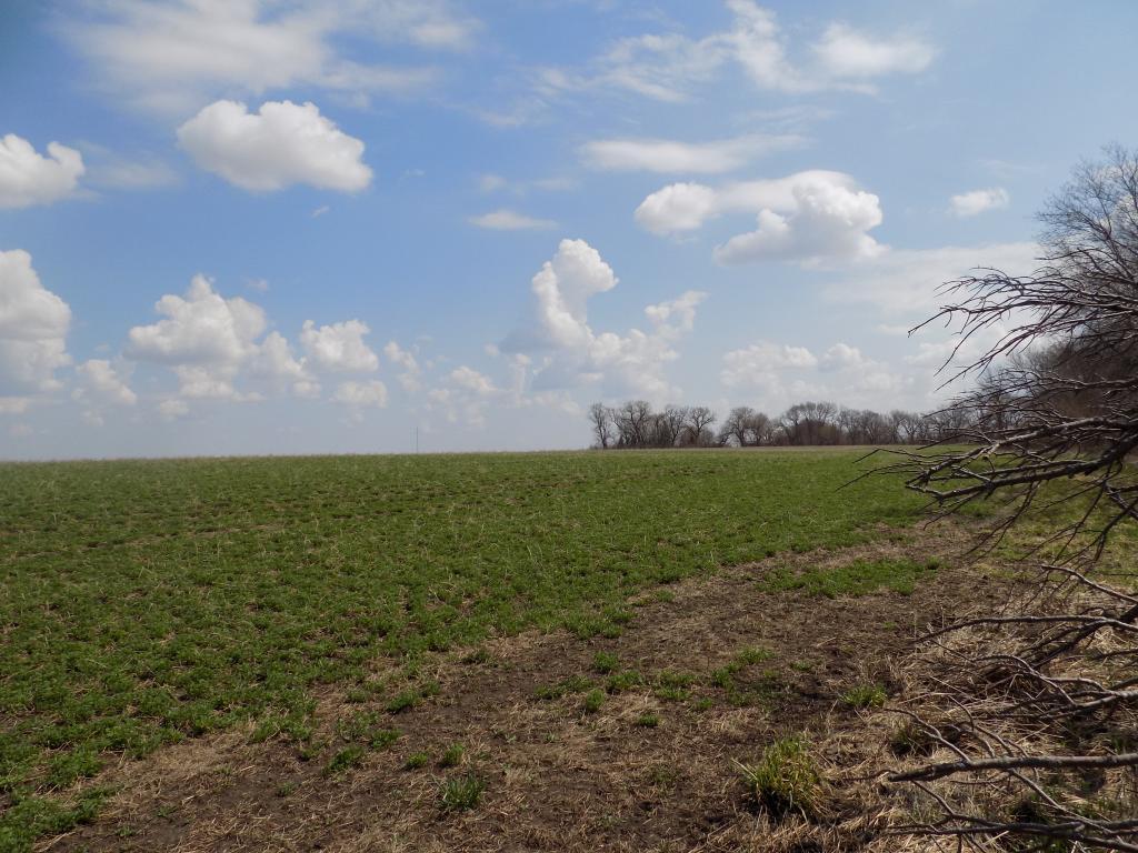 801 140th Street Property Photo 15