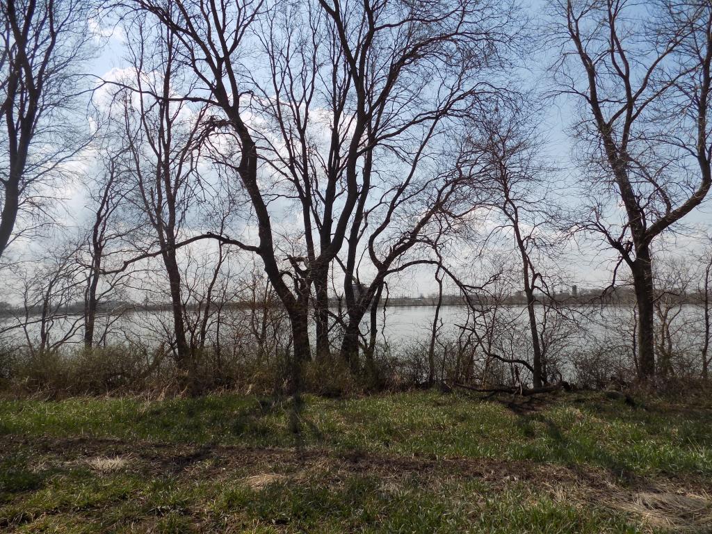 801 140th Street Property Photo 17