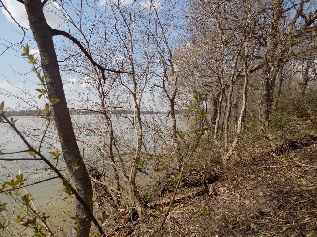 801 140th Street Property Photo 22