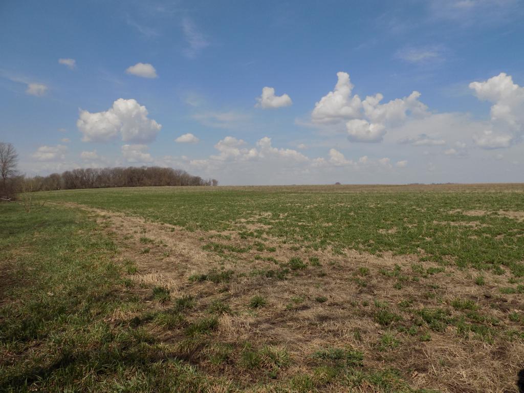 801 140th Street Property Photo 24