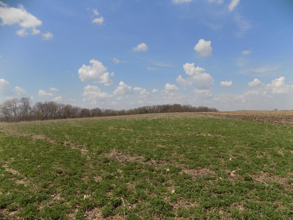 801 140th Street Property Photo 27