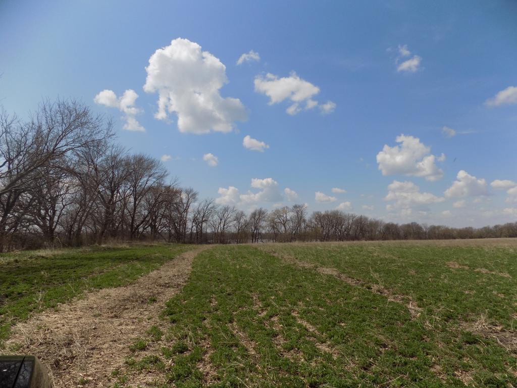 801 140th Street Property Photo 28