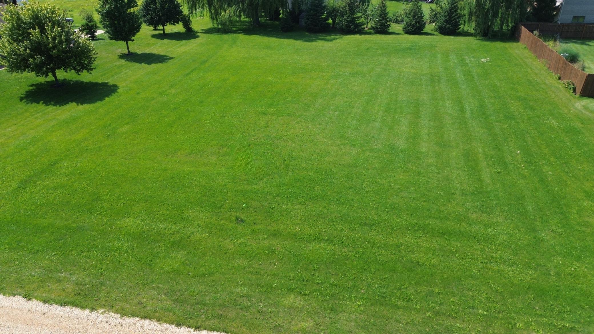 Tbd Cedar L6b1 Street Property Photo 3