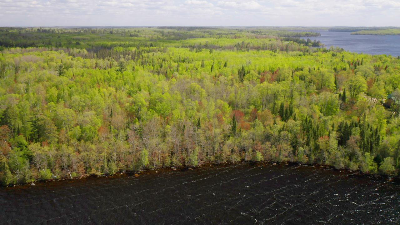 Parcel C S Niles Bay Forest Road Property Photo 4