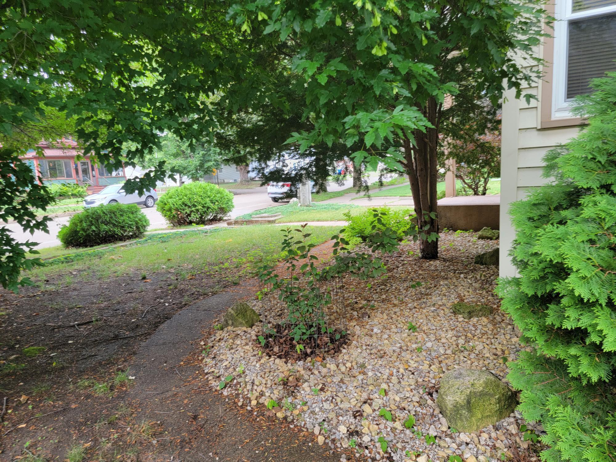 824 W 7th Street Property Photo 5