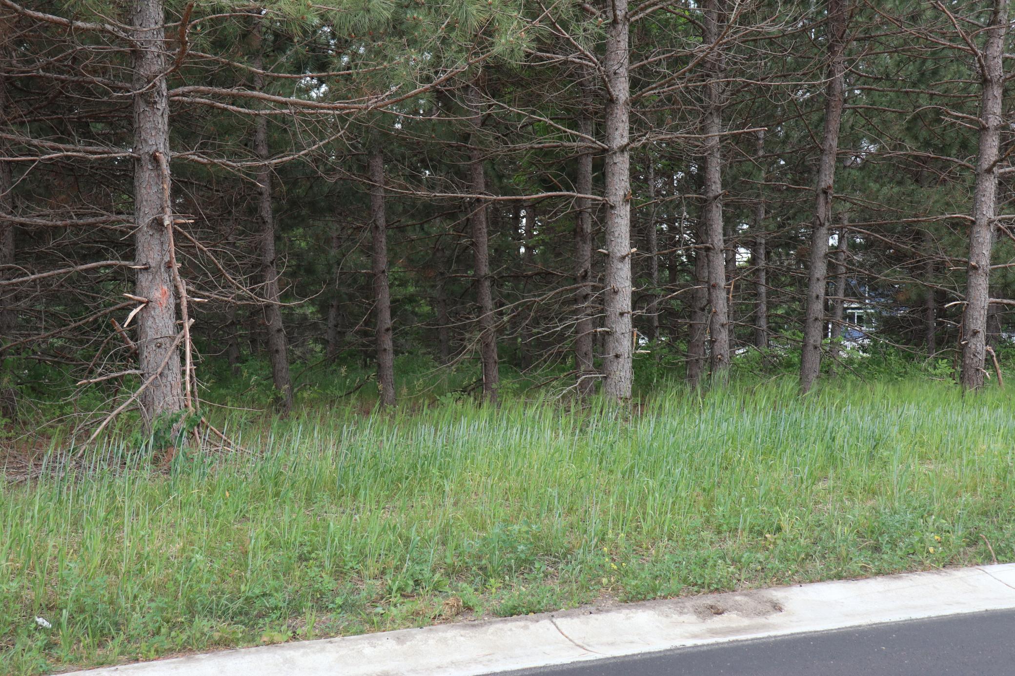 1925 Long Pine Drive Property Photo 9
