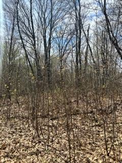 XXX Opal Ln Property Photo 1