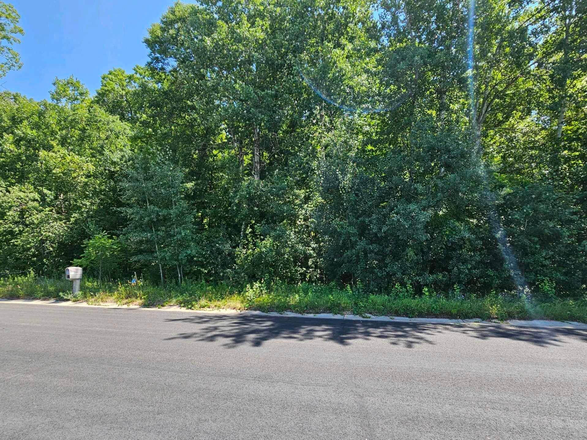 Lot 72 Roosevelt Avenue Property Photo