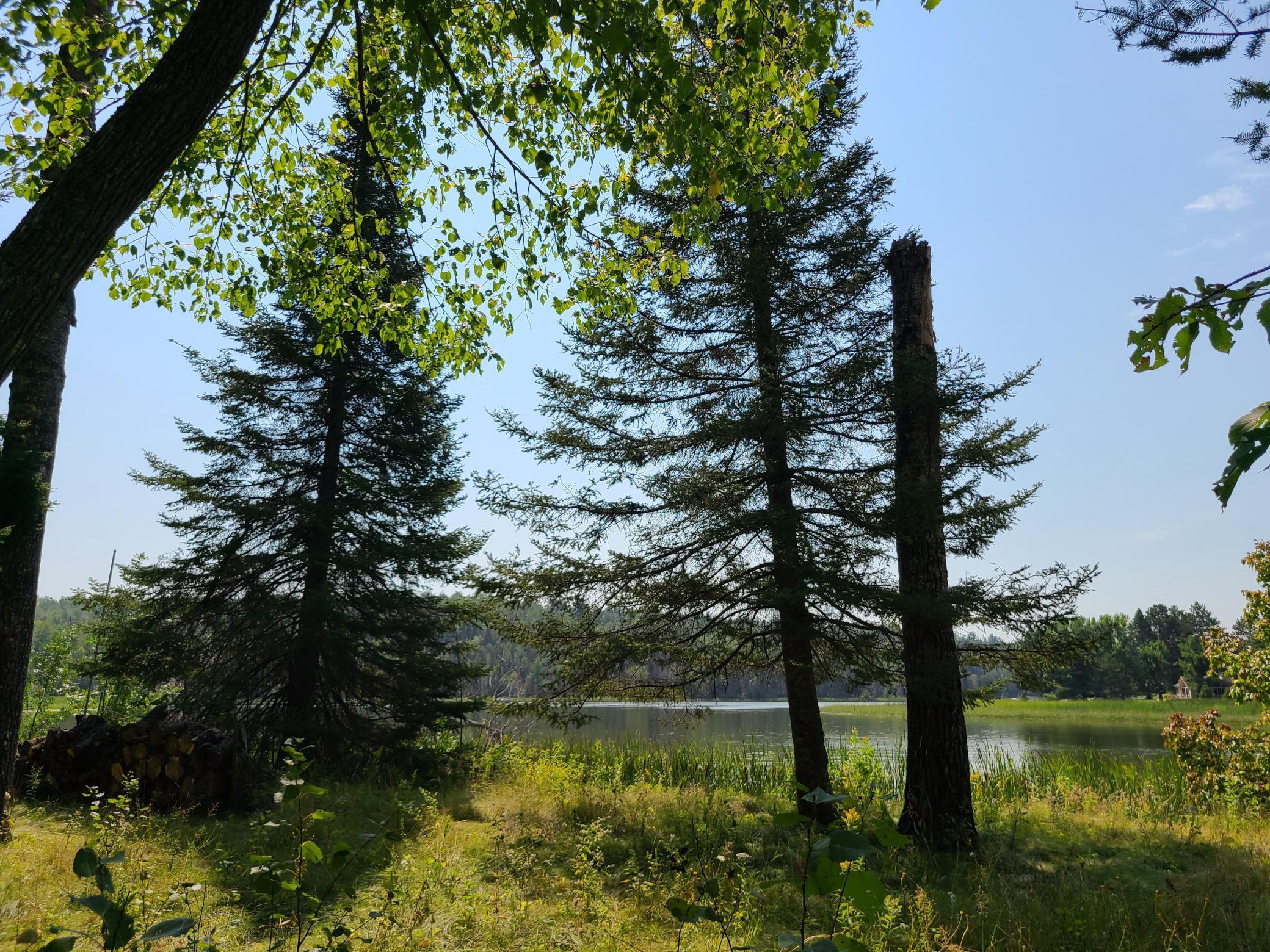 10281 Sullivan Bay Property Photo 3