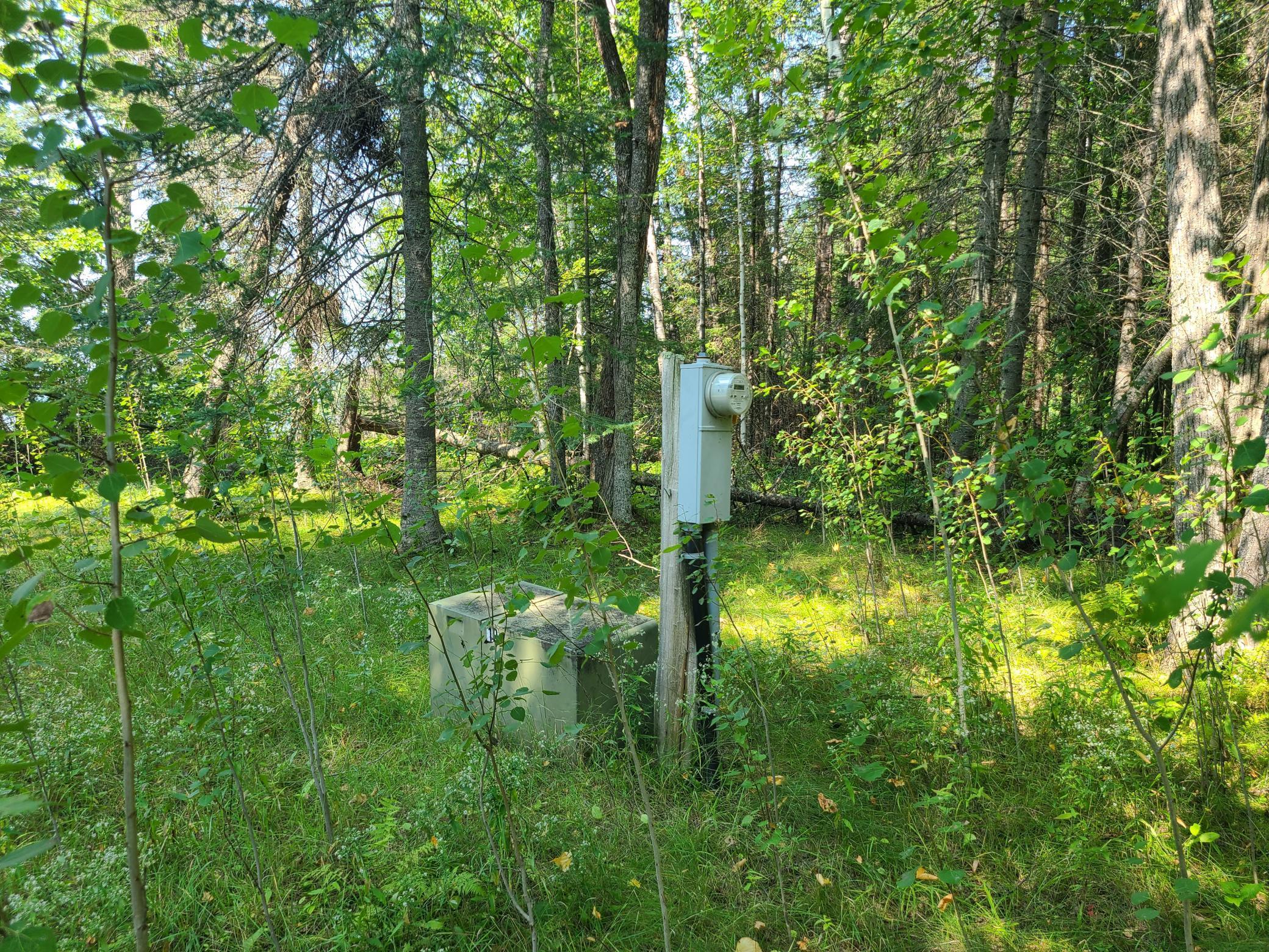 10281 Sullivan Bay Property Photo 16