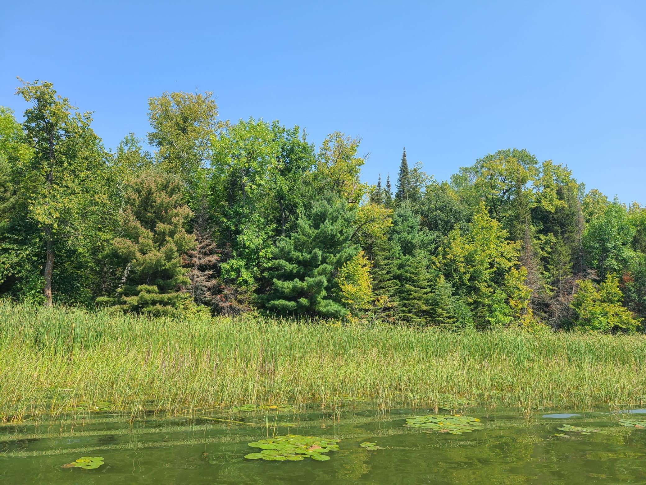 10281 Sullivan Bay Property Photo 22