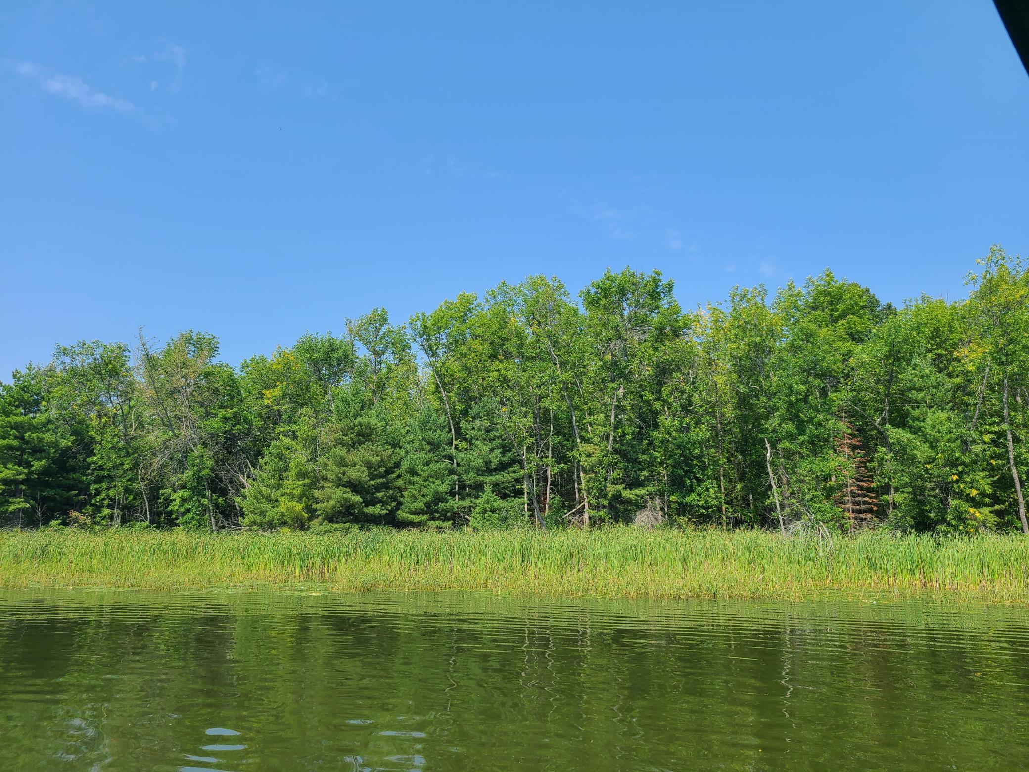 10281 Sullivan Bay Property Photo 23