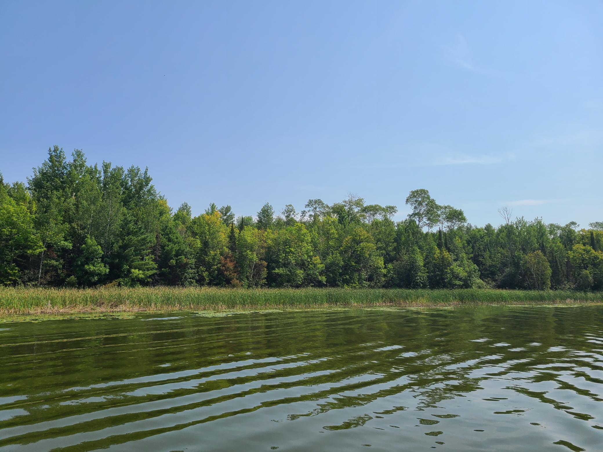 10281 Sullivan Bay Property Photo 29
