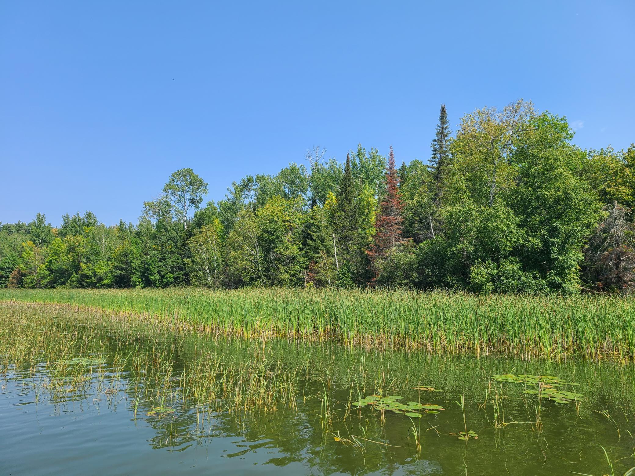10281 Sullivan Bay Property Photo 32